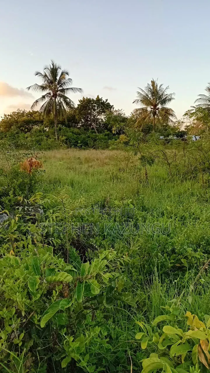 Stand-Alone 1/8 Acre Plot at Makongeni, 300 Metres From the Main Road. in Diani
