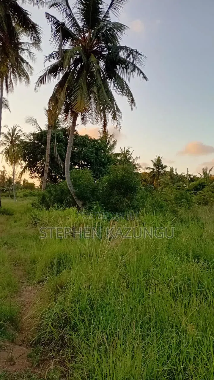 Stand-Alone 1/8 Acre Plot at Makongeni, 300 Metres From the Main Road. in Diani
