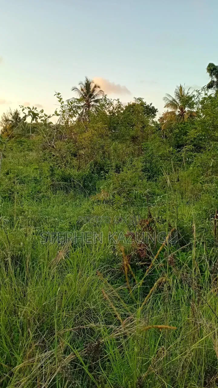 Stand-Alone 1/8 Acre Plot at Makongeni, 300 Metres From the Main Road. in Diani