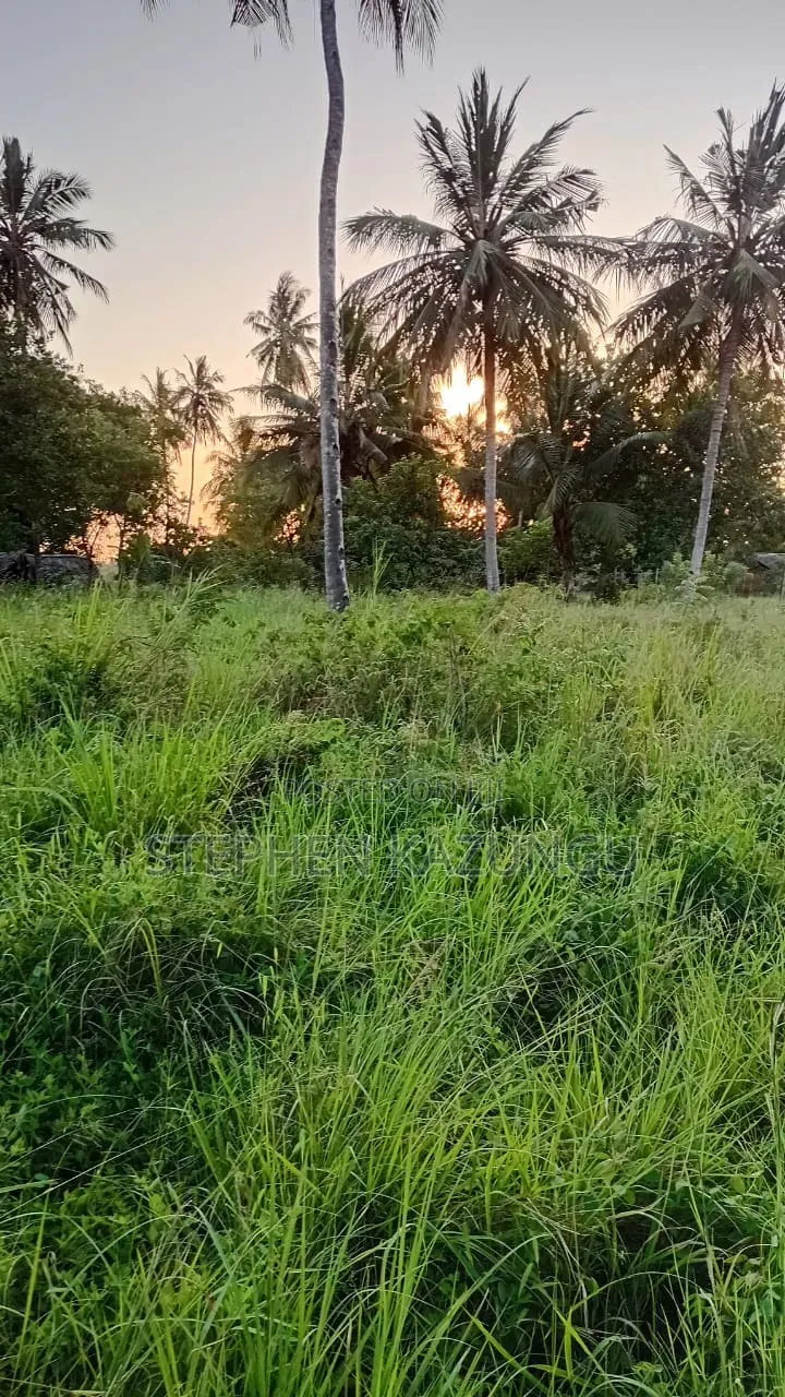 Stand-Alone 1/8 Acre Plot at Makongeni, 300 Metres From the Main Road. in Diani