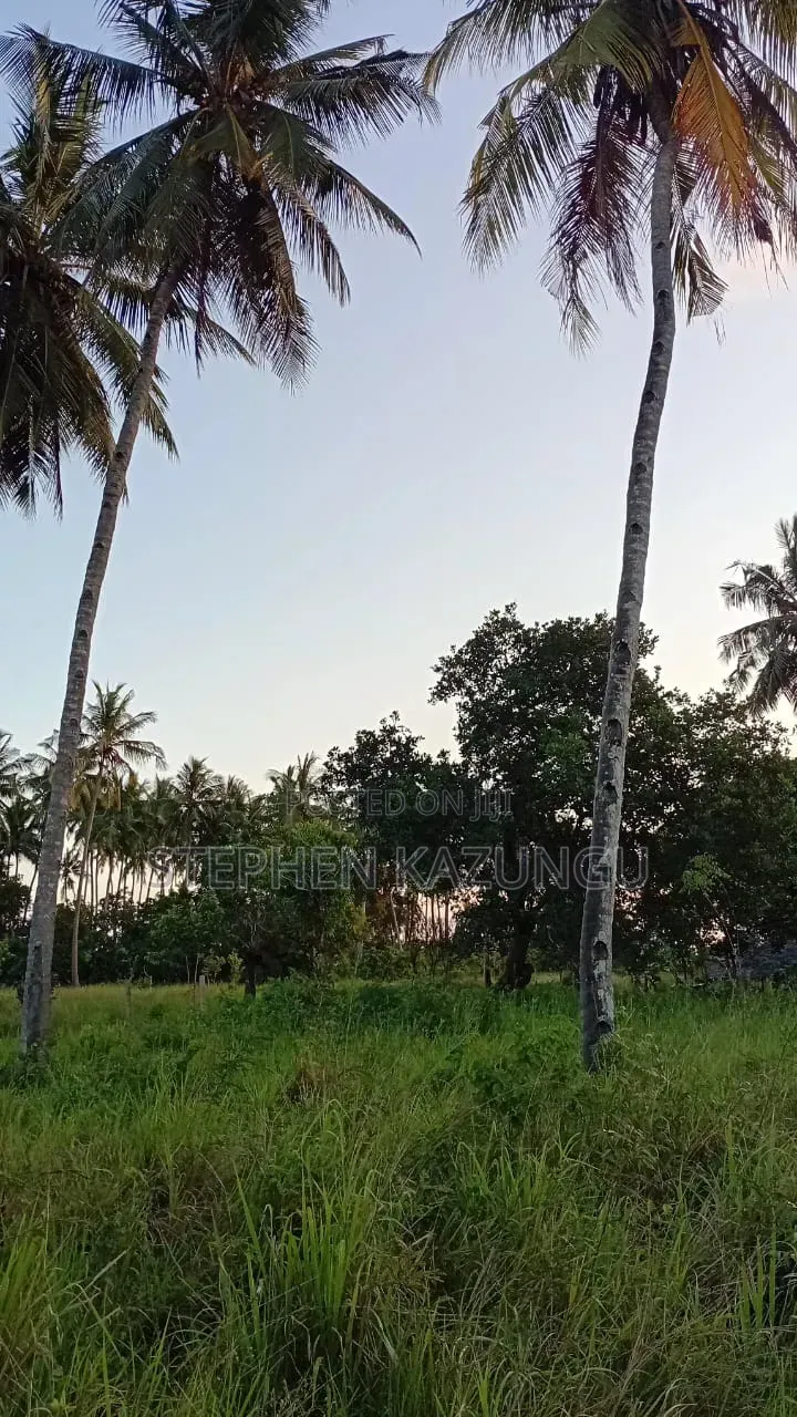 Nice an 1/8 Acre Plot at Makongeni, Kinondo 250 Metres From the Road. in Diani