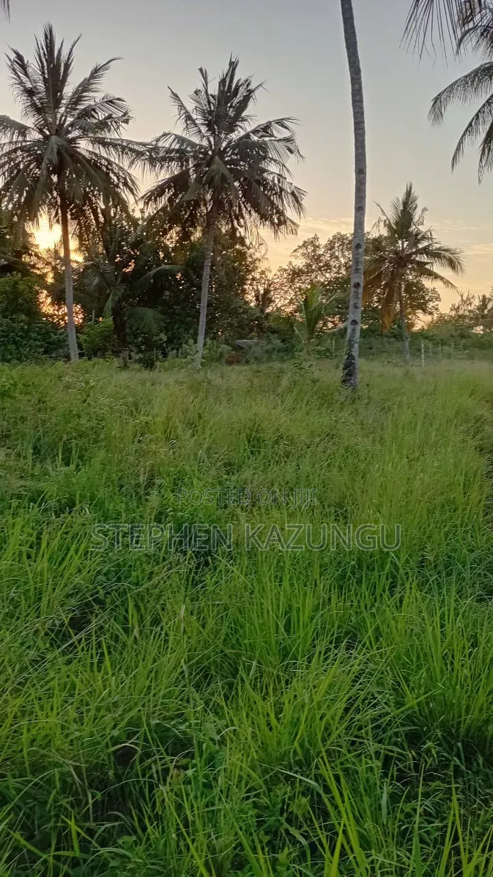 Nice an 1/8 Acre Plot at Makongeni, Kinondo 250 Metres From the Road. in Diani