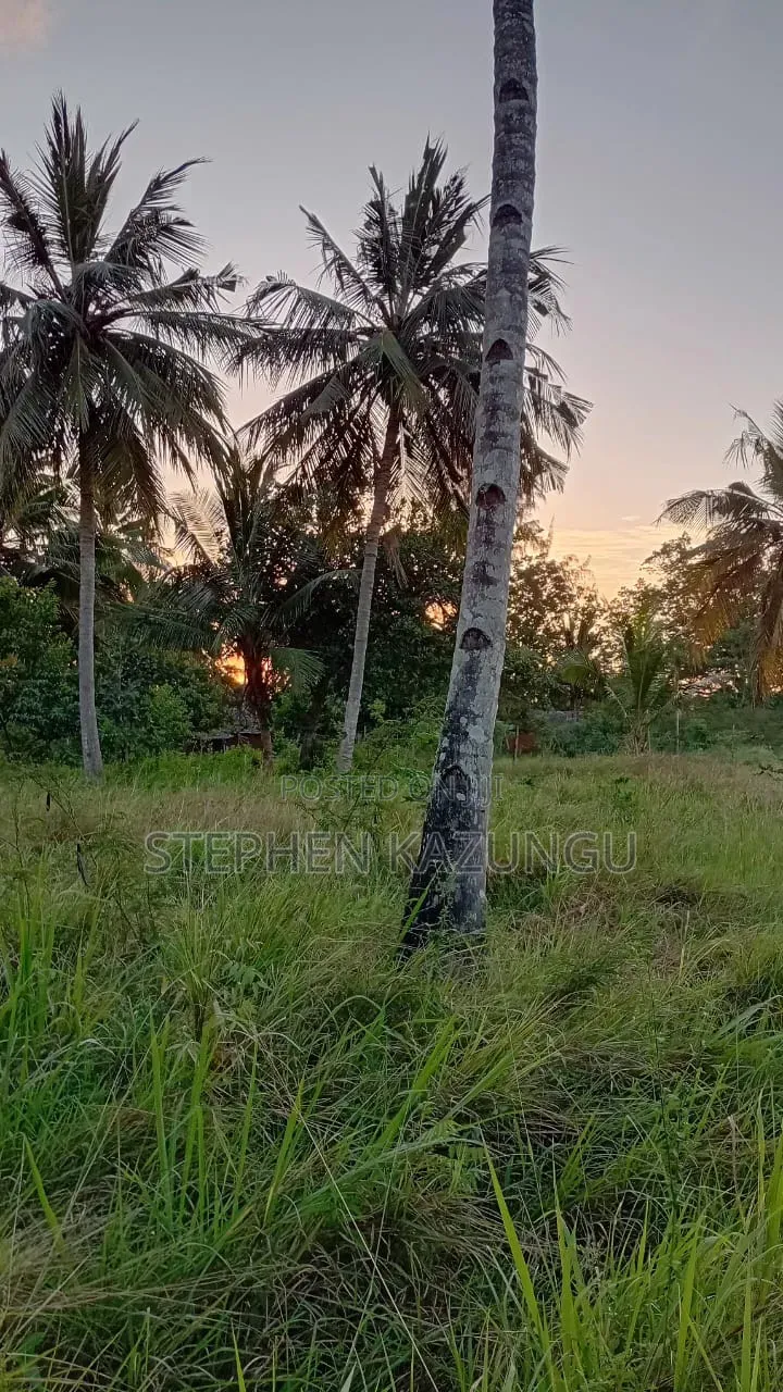 Nice an 1/8 Acre Plot at Makongeni, Kinondo 250 Metres From the Road. in Diani