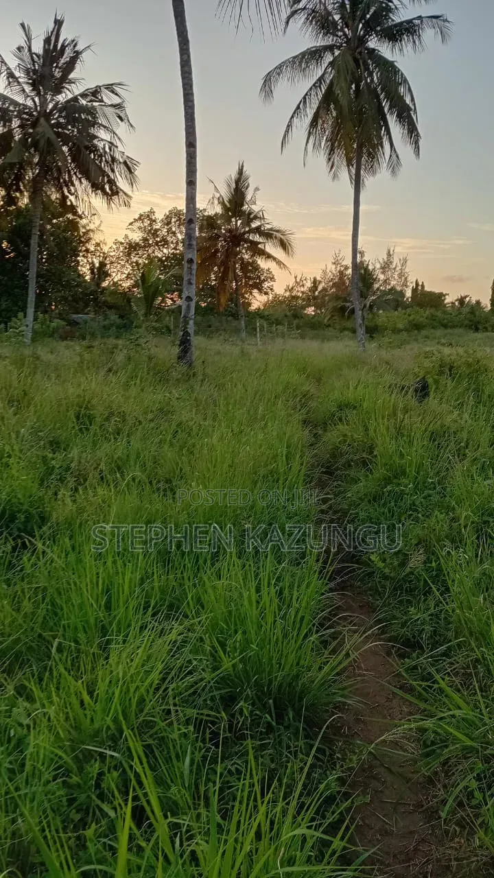 Nice an 1/8 Acre Plot at Makongeni, Kinondo 250 Metres From the Road. in Diani