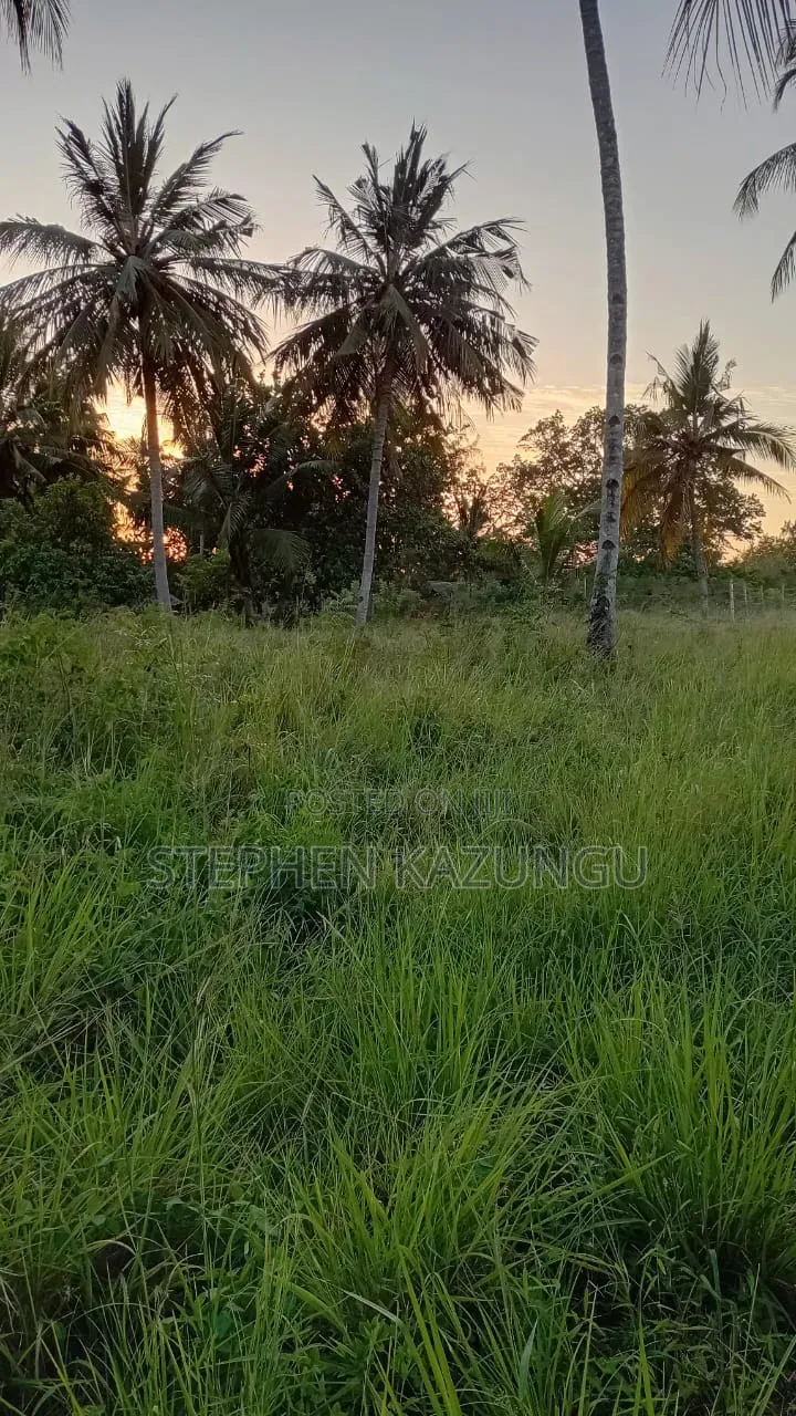 Nice an 1/8 Acre Plot at Makongeni, Kinondo 250 Metres From the Road. in Diani