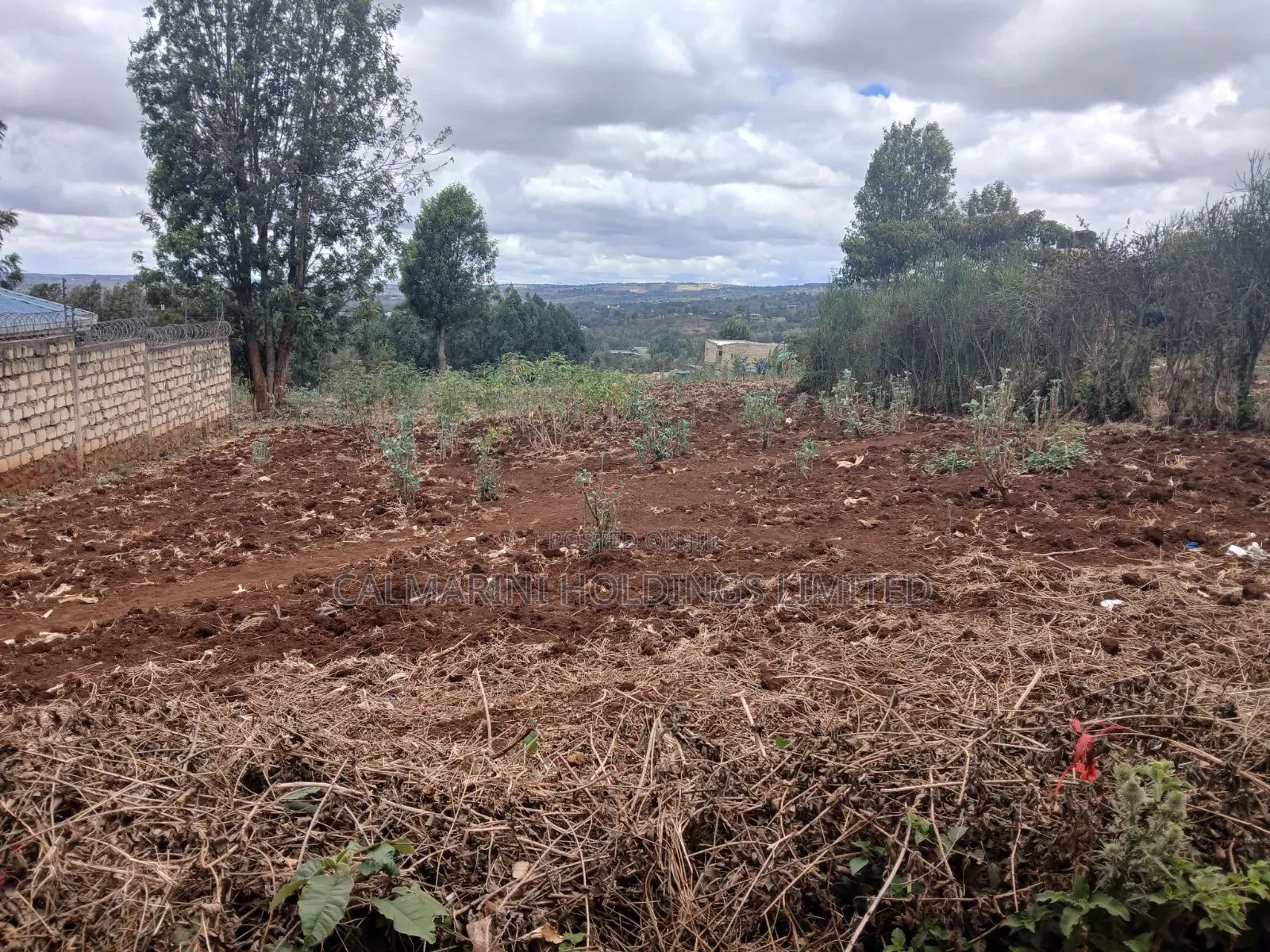 Prime Eighth Acre Plot Off PCEA Tarmac in Upper Matasia in Matasia