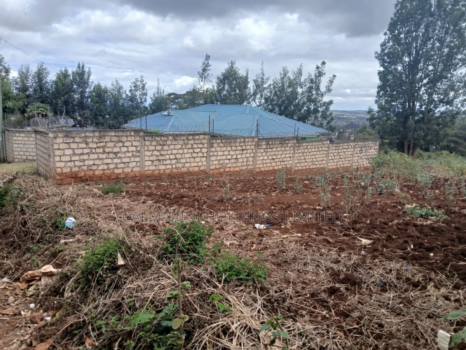 Prime Eighth Acre Plot Off PCEA Tarmac in Upper Matasia in Matasia