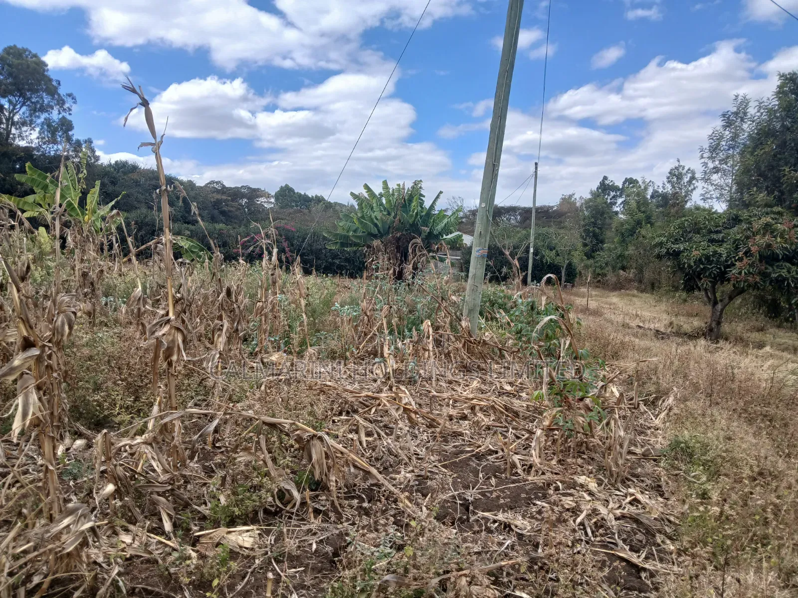 Distress Sale! 100 by 100 Plot Near Lewisa Academy Kiserian in Kiserian