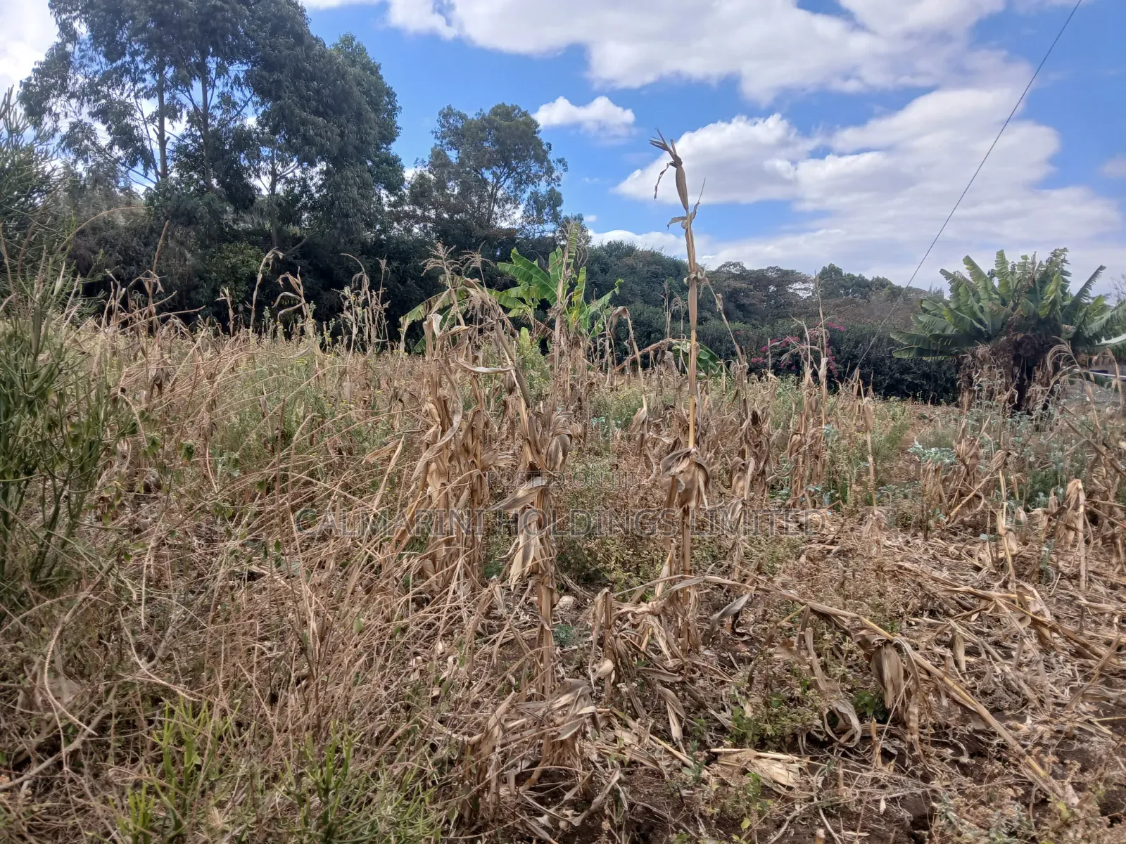 Distress Sale! 100 by 100 Plot Near Lewisa Academy Kiserian in Kiserian