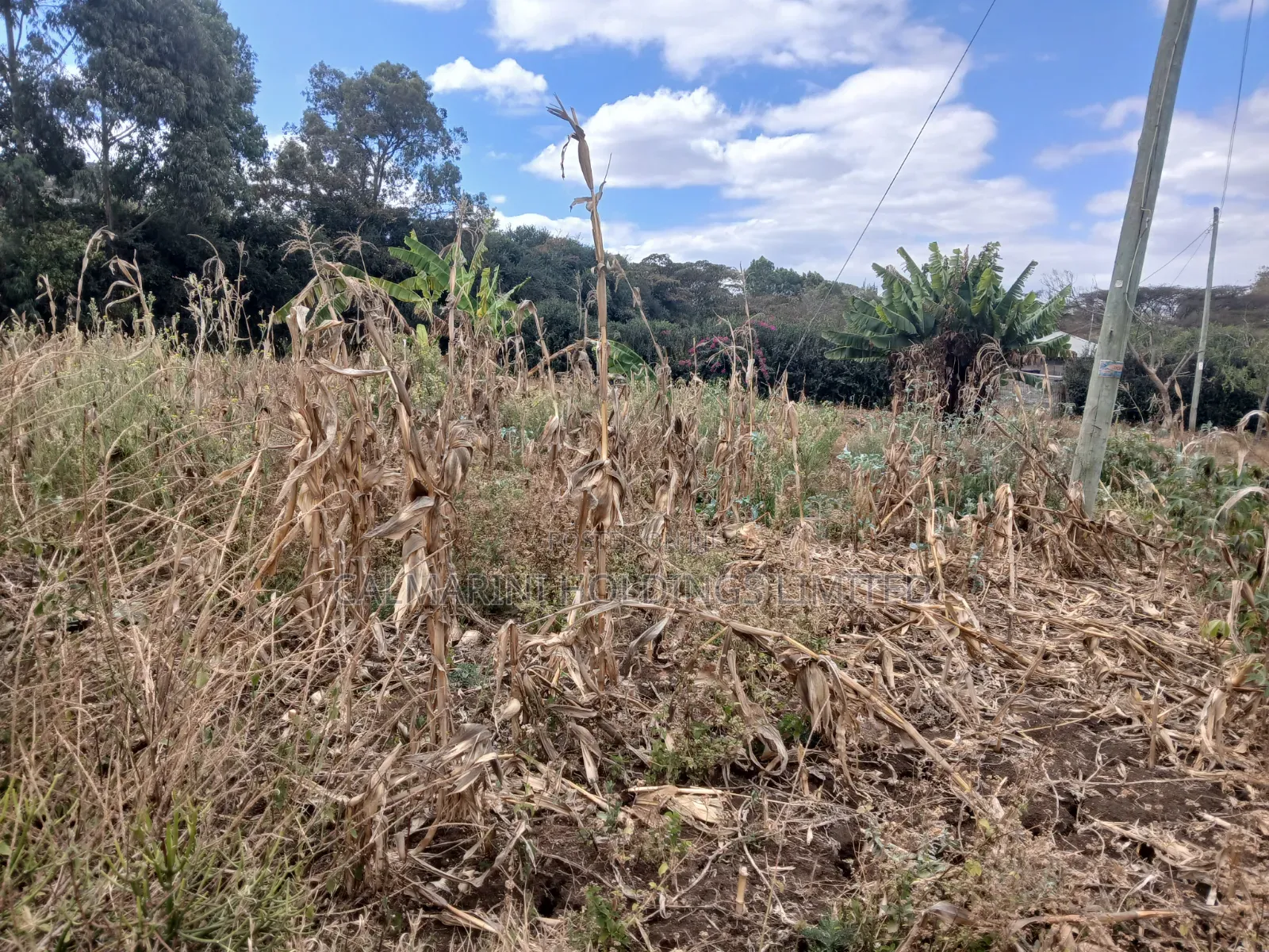 Distress Sale! 100 by 100 Plot Near Lewisa Academy Kiserian in Kiserian
