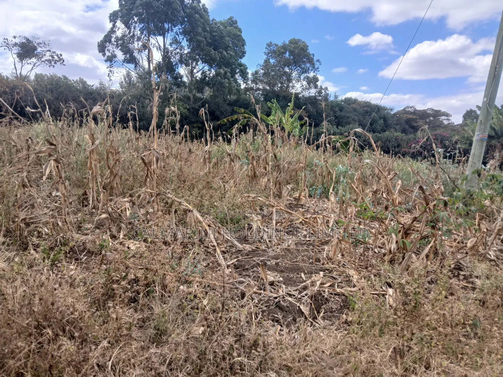 Distress Sale! 100 by 100 Plot Near Lewisa Academy Kiserian in Kiserian