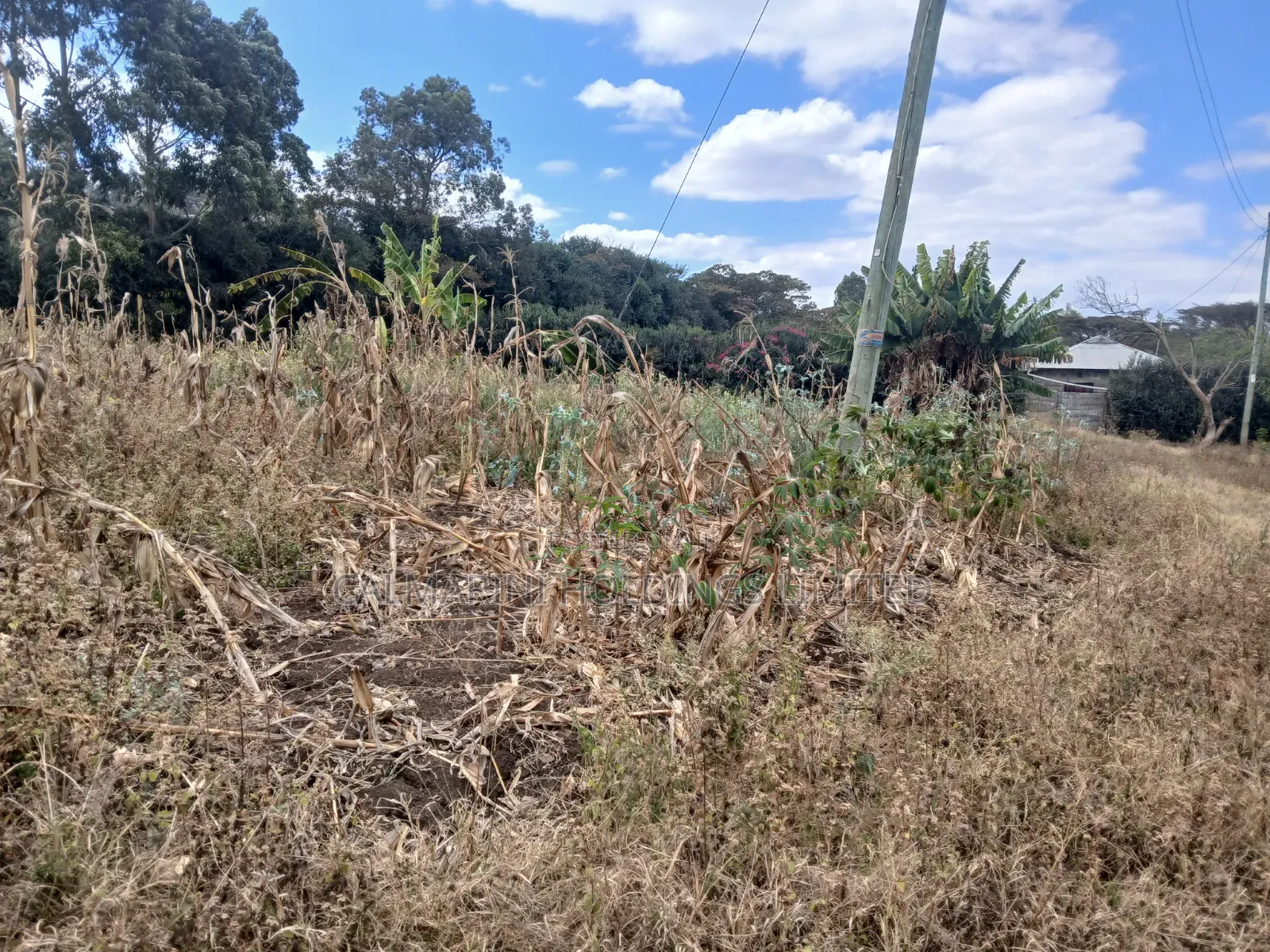 Distress Sale! 100 by 100 Plot Near Lewisa Academy Kiserian in Kiserian