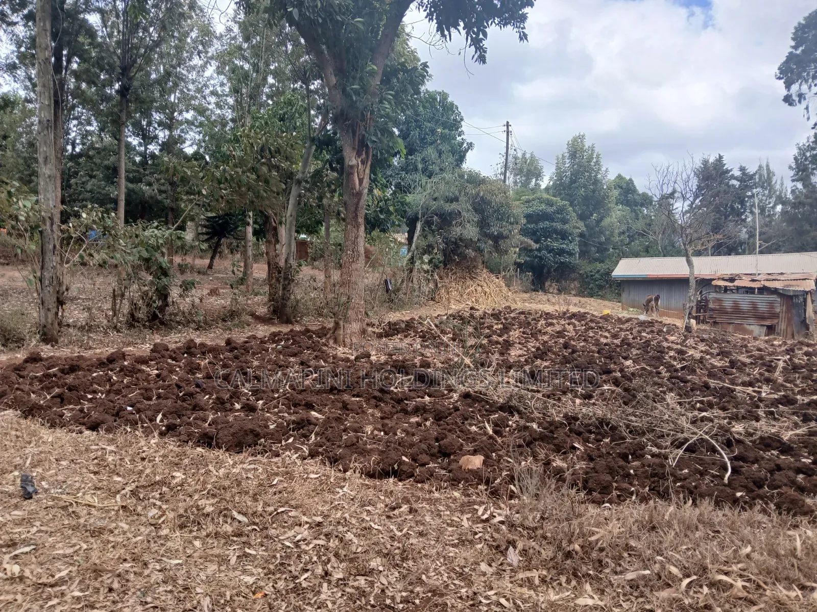 Full 50 by 100 Plot in Upper Matasia Off PCEA Road in Matasia