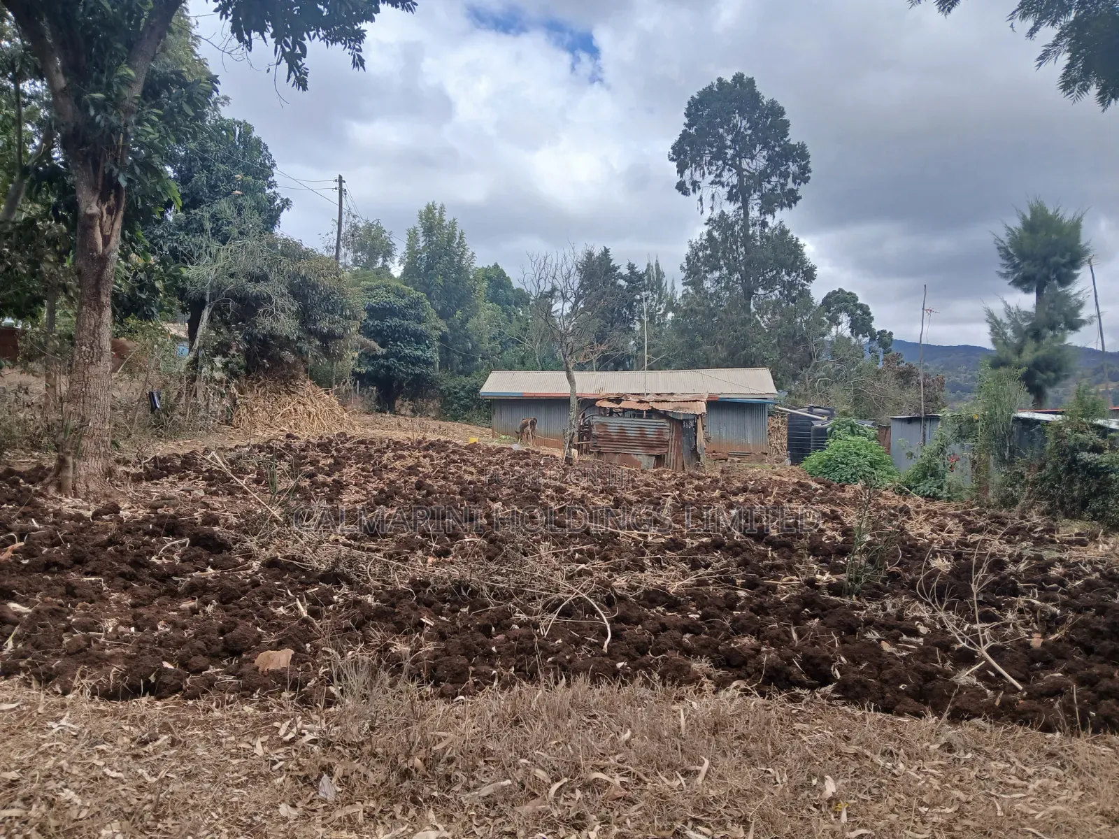 Full 50 by 100 Plot in Upper Matasia Off PCEA Road in Matasia