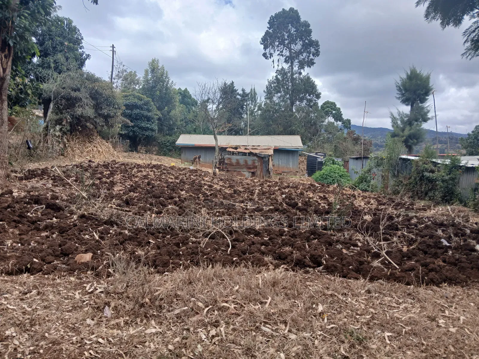 Full 50 by 100 Plot in Upper Matasia Off PCEA Road in Matasia