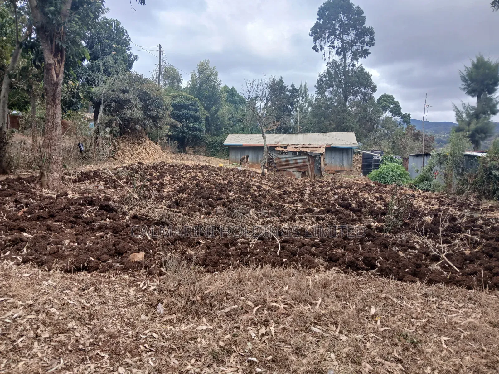 Full 50 by 100 Plot in Upper Matasia Off PCEA Road in Matasia