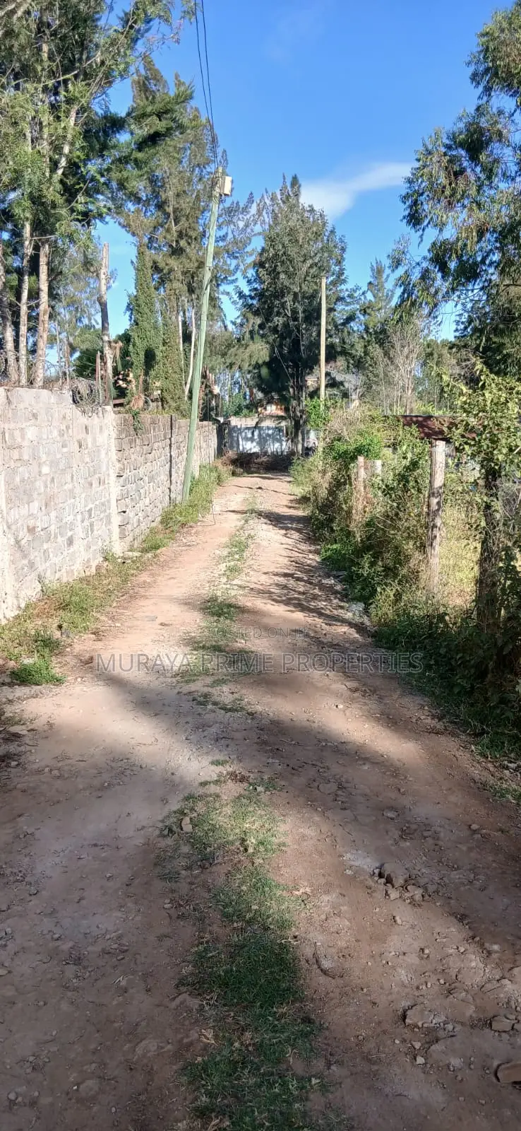 Prime 1⁄8-Acre Plot for Sale in Kerarapon Drive – KSH 12 Million! in Kerarapon