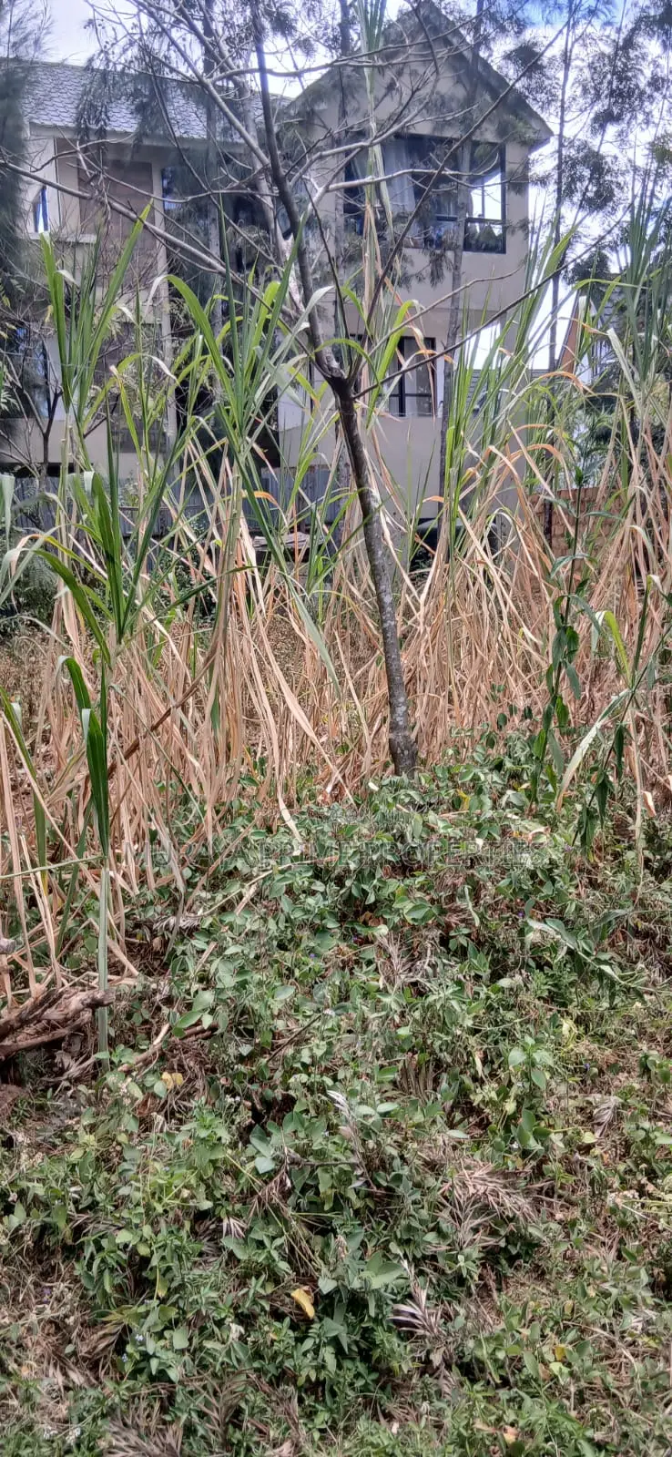 1/8 Acre Plot for Sale in Kerarapon Drive – KSH 9 Million (Negotiable) in Kerarapon