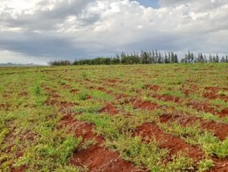 50 X 100 Plots for Sale in Baraka Gardens, Gatanga in Bendor Estate