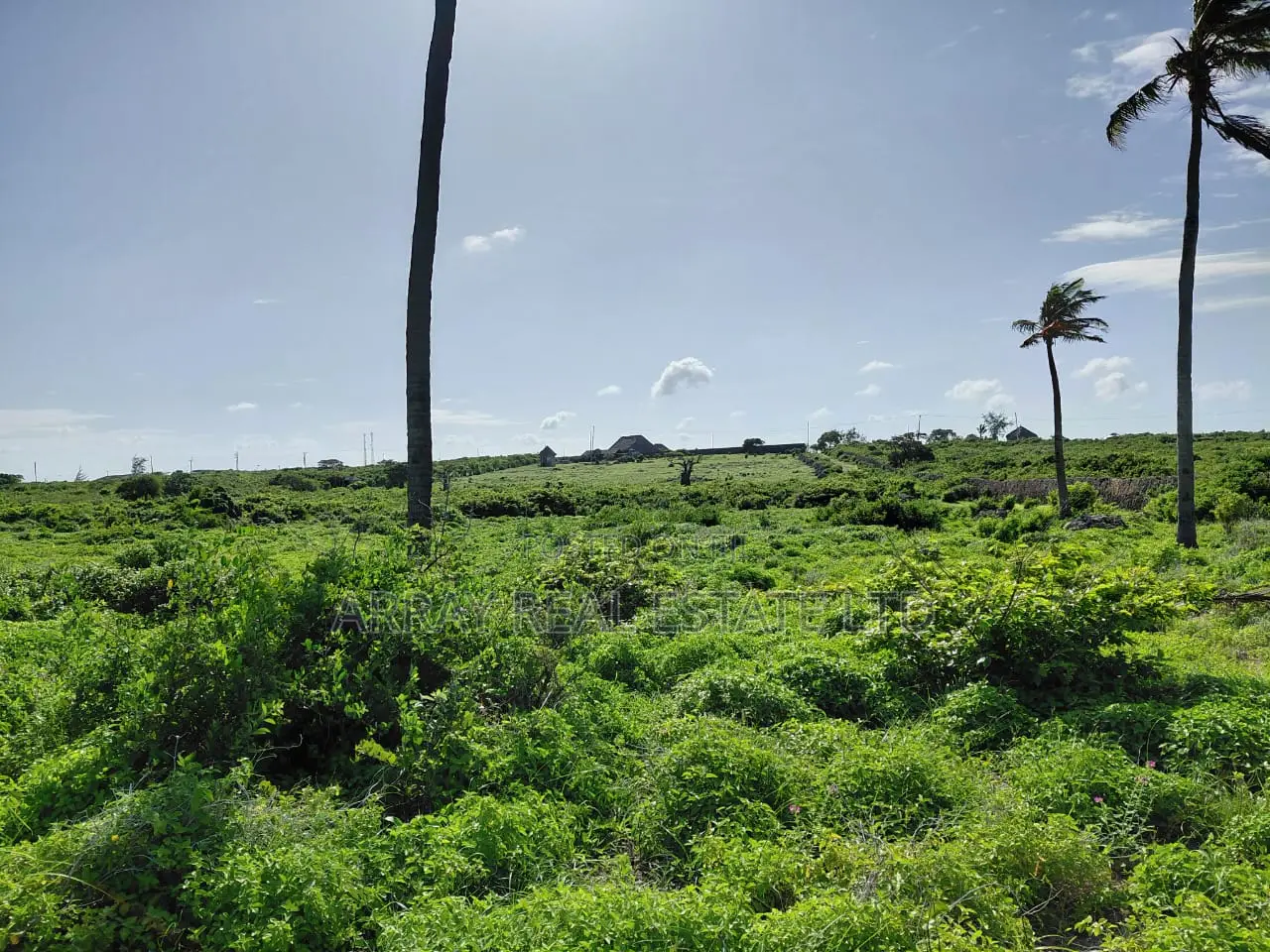 8 Acres Sandy Beachfront Land for Sale in Jacaranda, Watamu in Mtwapa