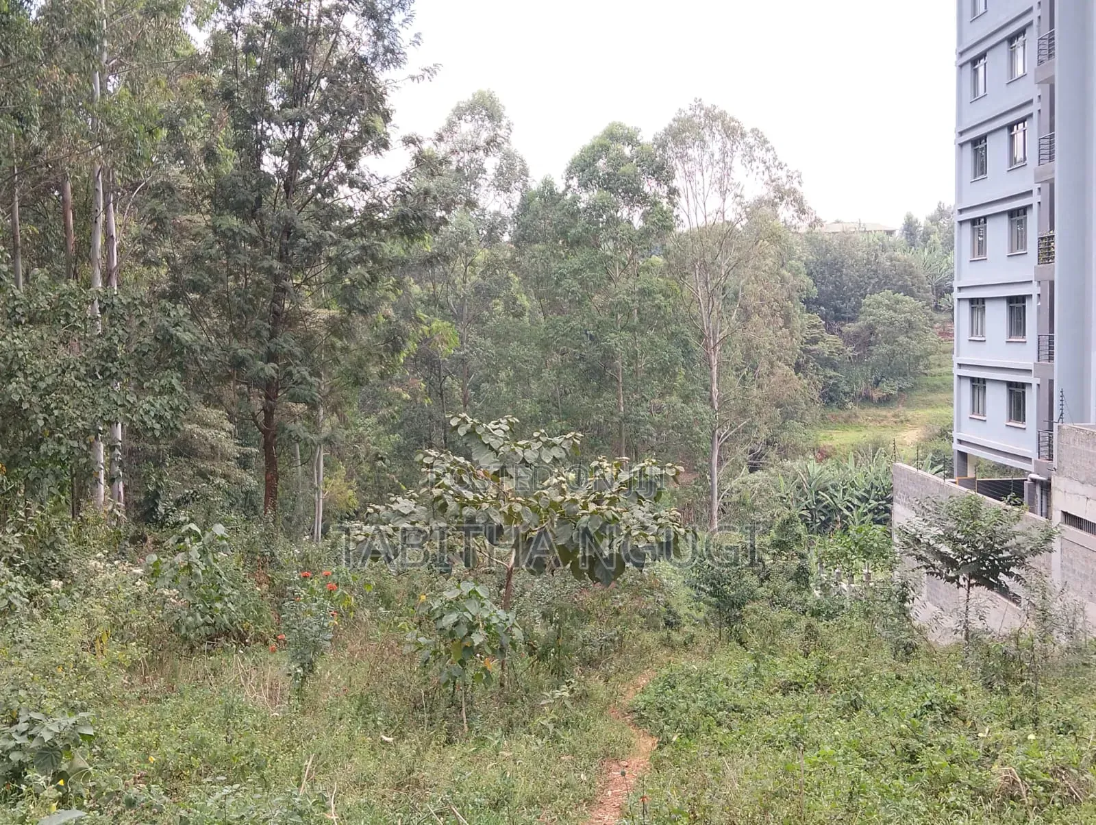 1/2 an Acre in Tigoni.Kentmere in Tigoni