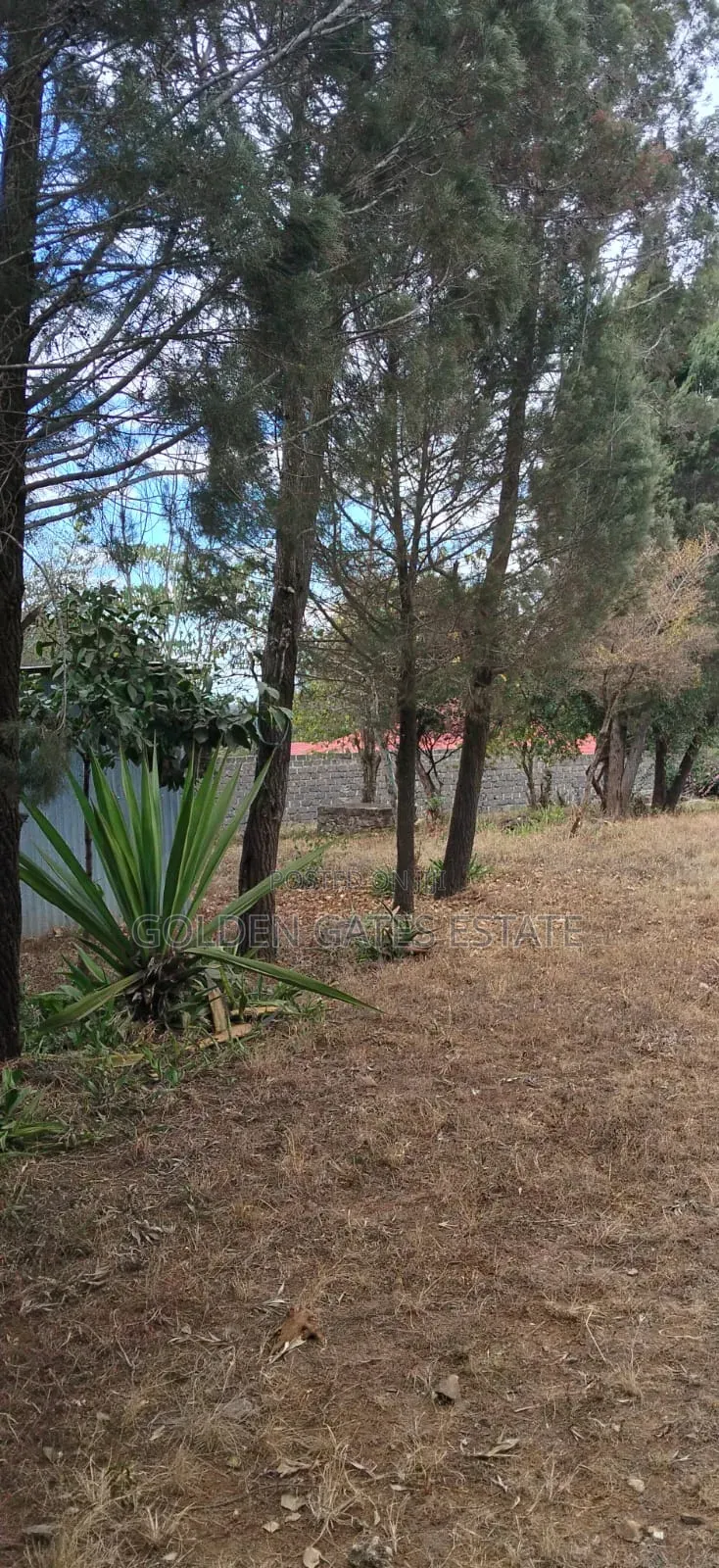 Prime 1/2 Acre Residential Land for Sale in Rongai in Nkoroi