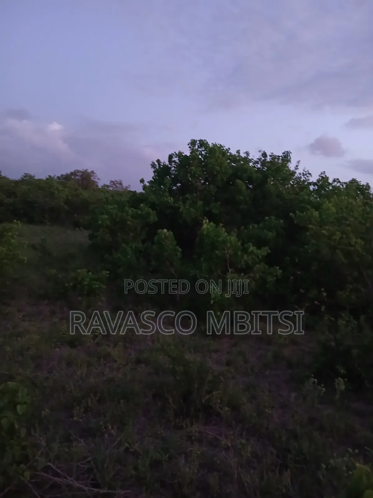 15 Acres Forsale in Kilifi Mavueni Near to PST Ezekiel Church. in Kilifi Town