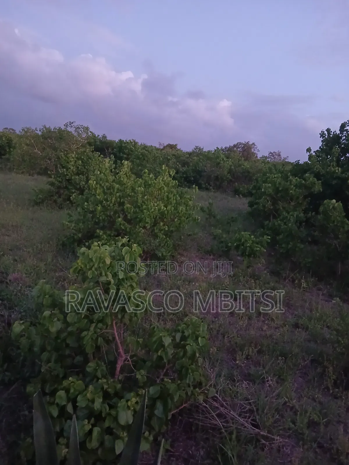 15 Acres Forsale in Kilifi Mavueni Near to PST Ezekiel Church. in Kilifi Town