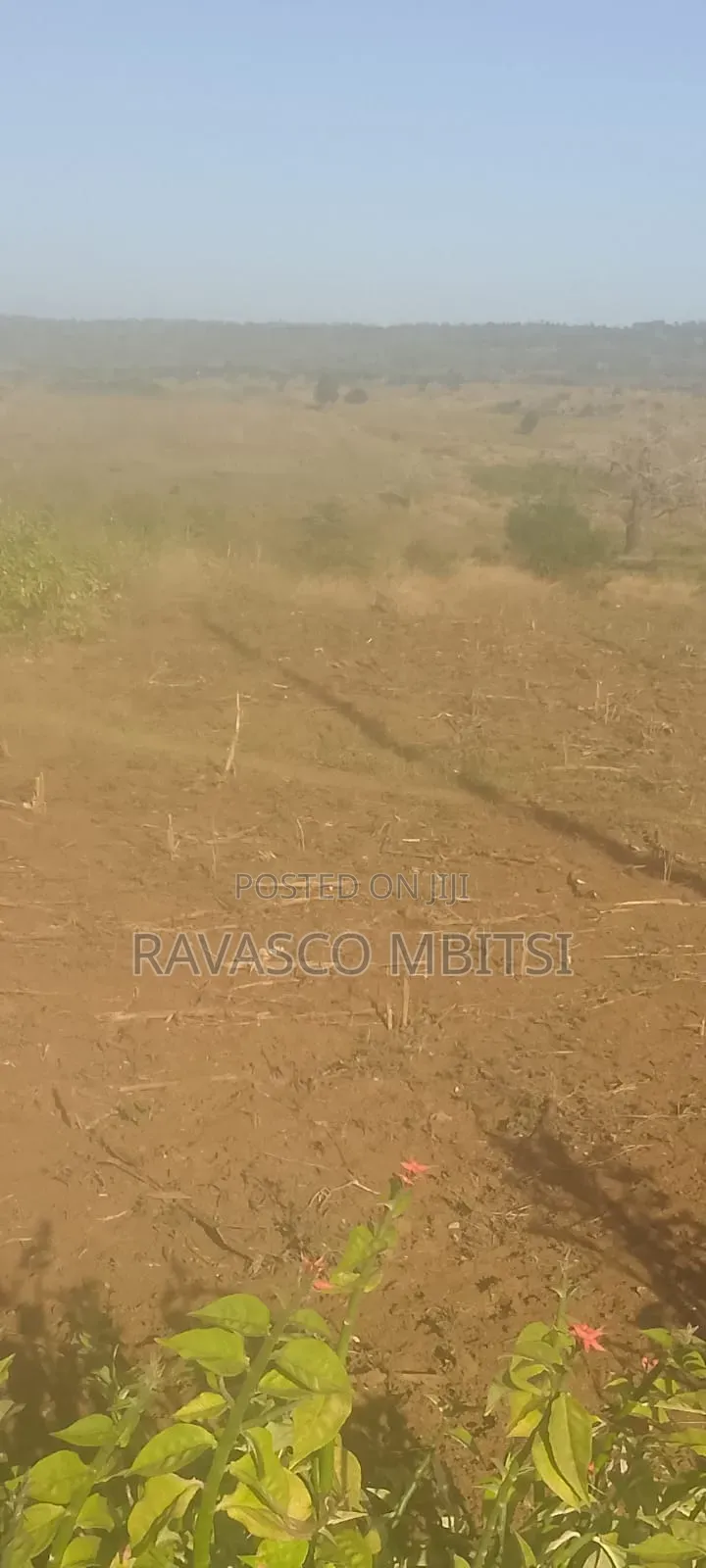 20 Acres Forsale in Kilifi Mavueni Near to PST Ezekiel Church. in Kilifi Town
