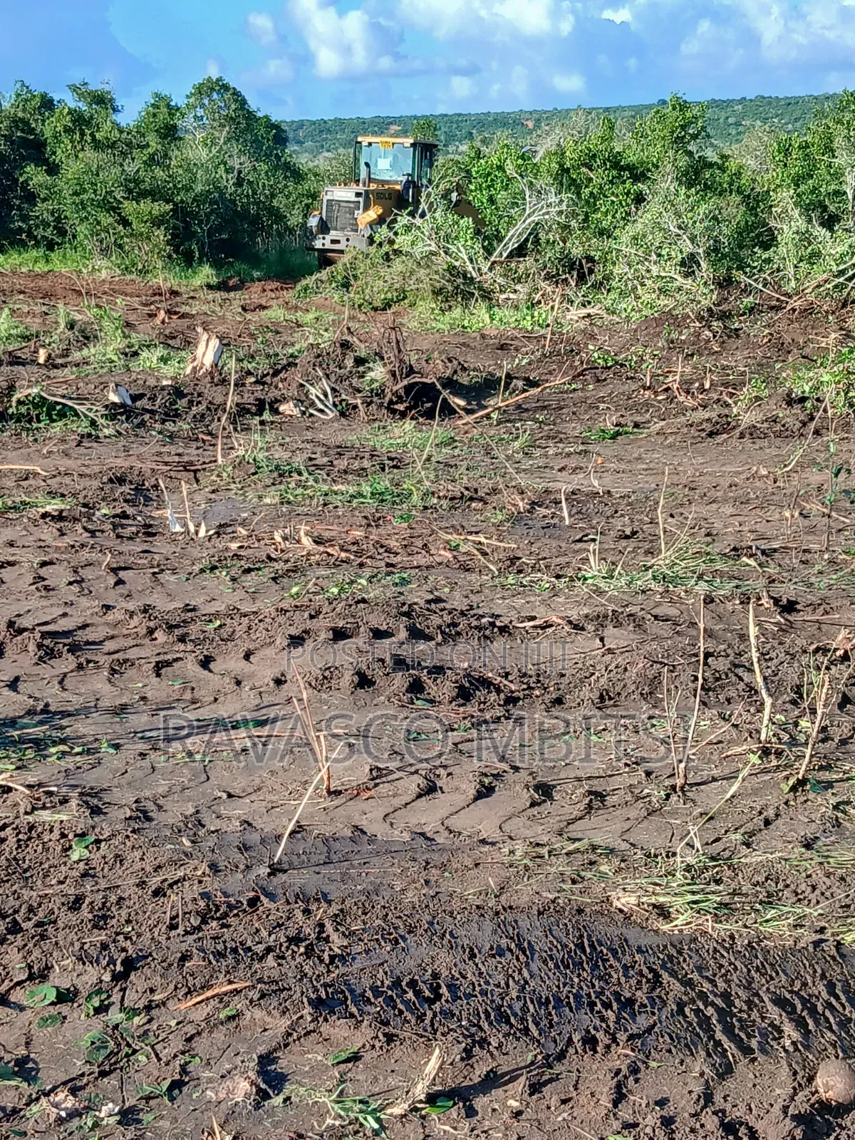 50 × 100 Plots Forsale in Kilifi Near Ngalla Sandy Beach. in Kilifi Town