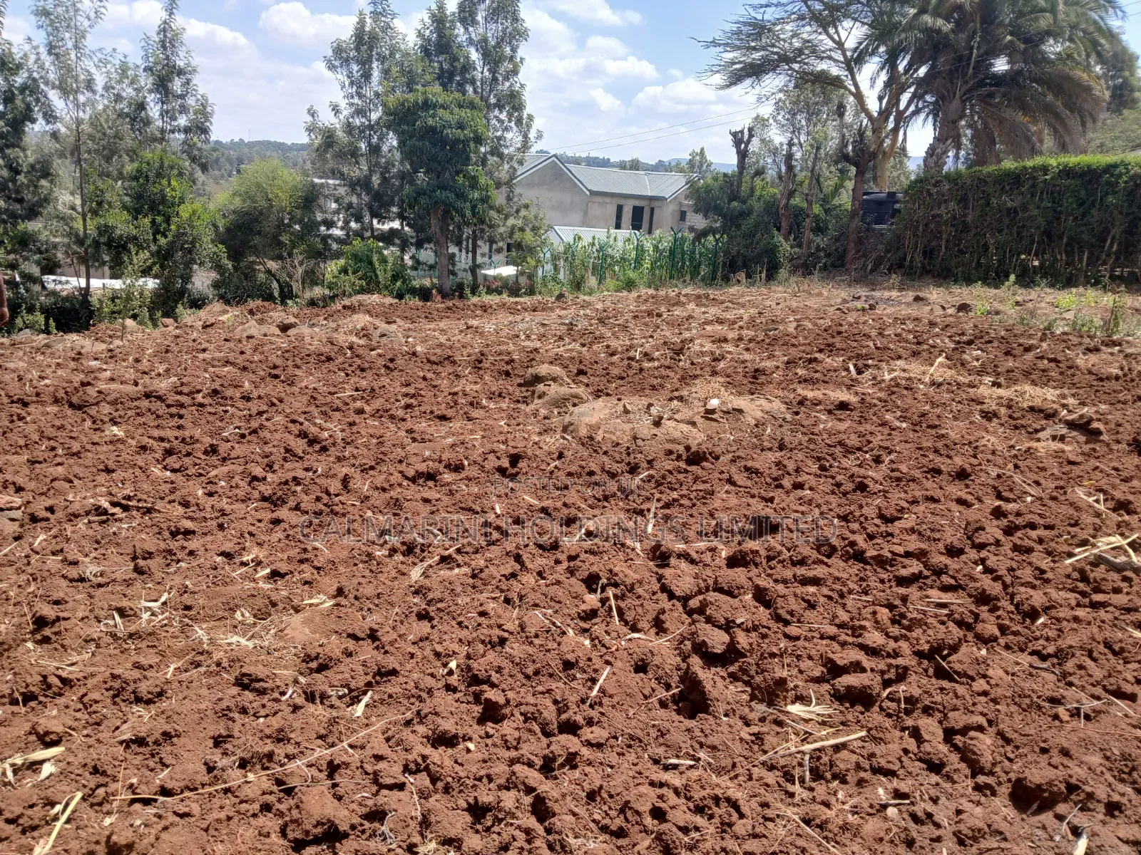 Prime Redsoil Quarter Acre Plot in Merisho, Matasia Karen-View in Matasia