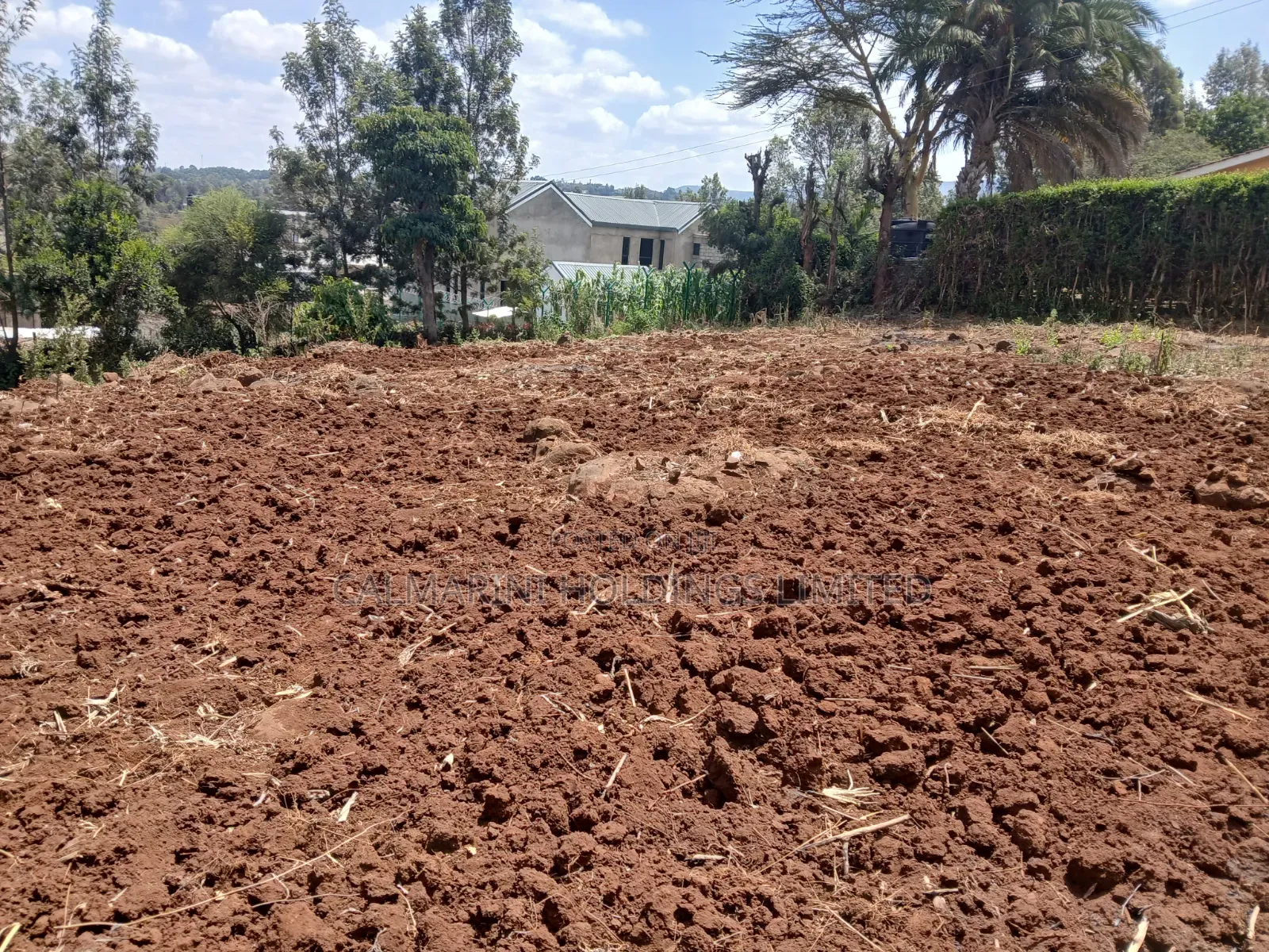 Prime Redsoil Quarter Acre Plot in Merisho, Matasia Karen-View in Matasia