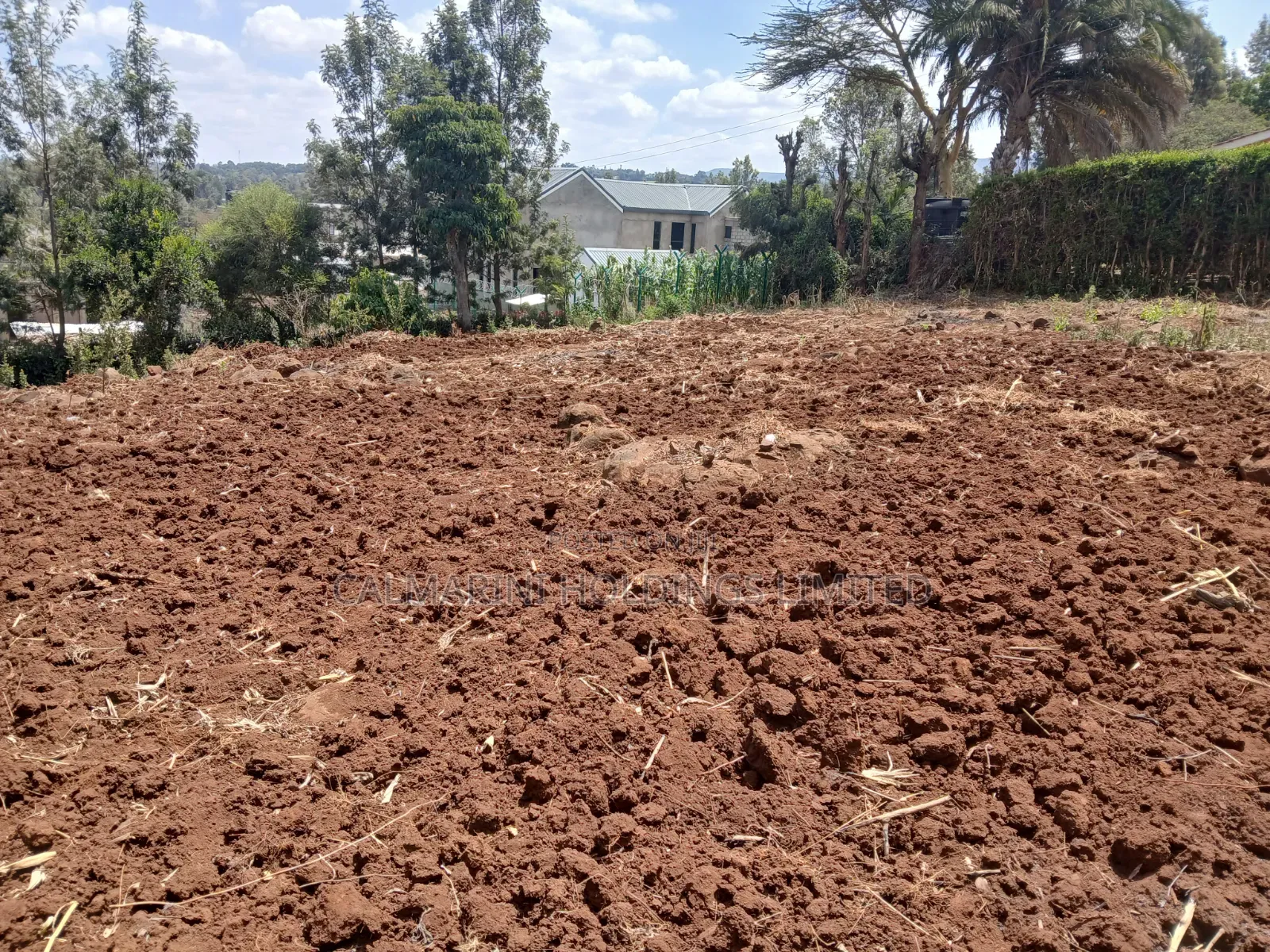 Prime Redsoil Quarter Acre Plot in Merisho, Matasia Karen-View in Matasia