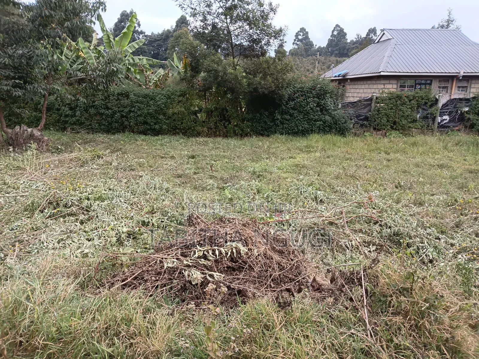 50x100 in Kikuyu-Ondiri in Kidfarmaco