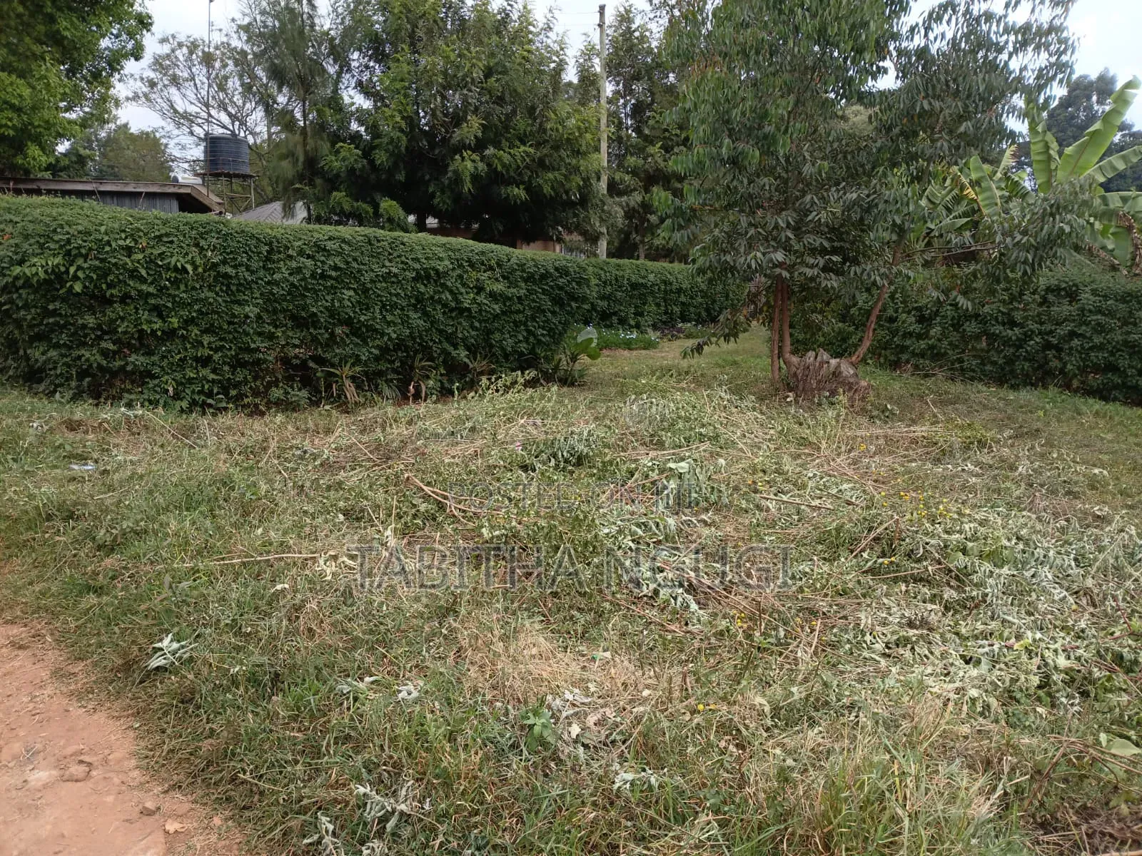 50x100 in Kikuyu-Ondiri in Kidfarmaco