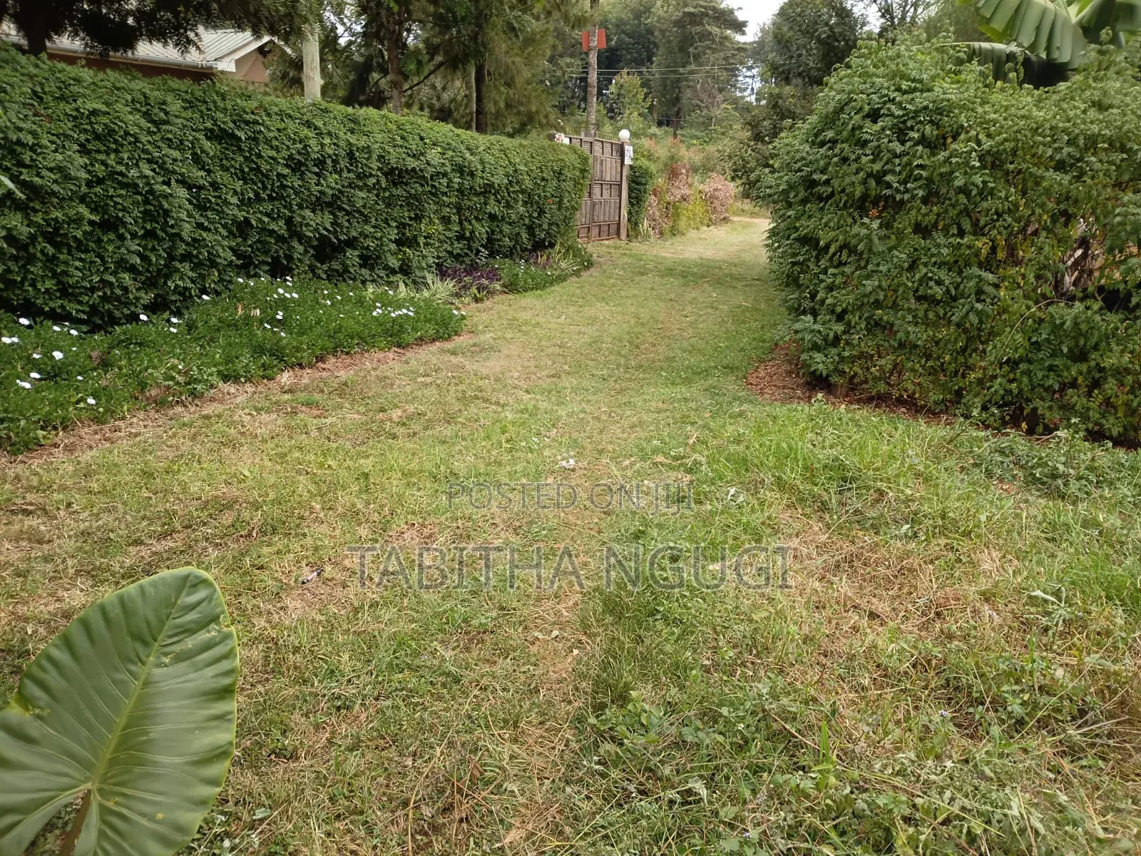 50x100 in Kikuyu-Ondiri in Kidfarmaco