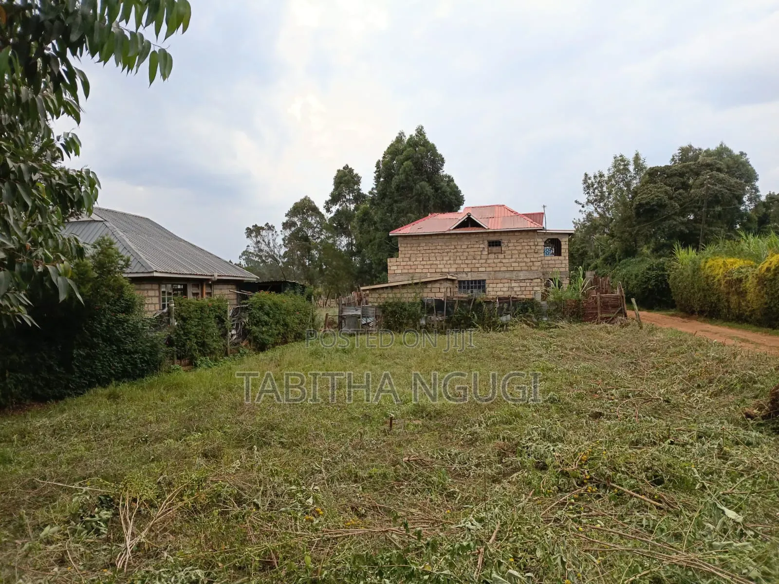 50x100 in Kikuyu-Ondiri in Kidfarmaco