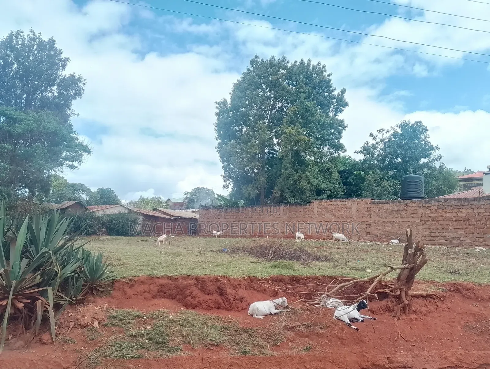 1/4 Plot Machakos Eastleigh Quick Sale 4.5M Per Plot. in Mumbuni