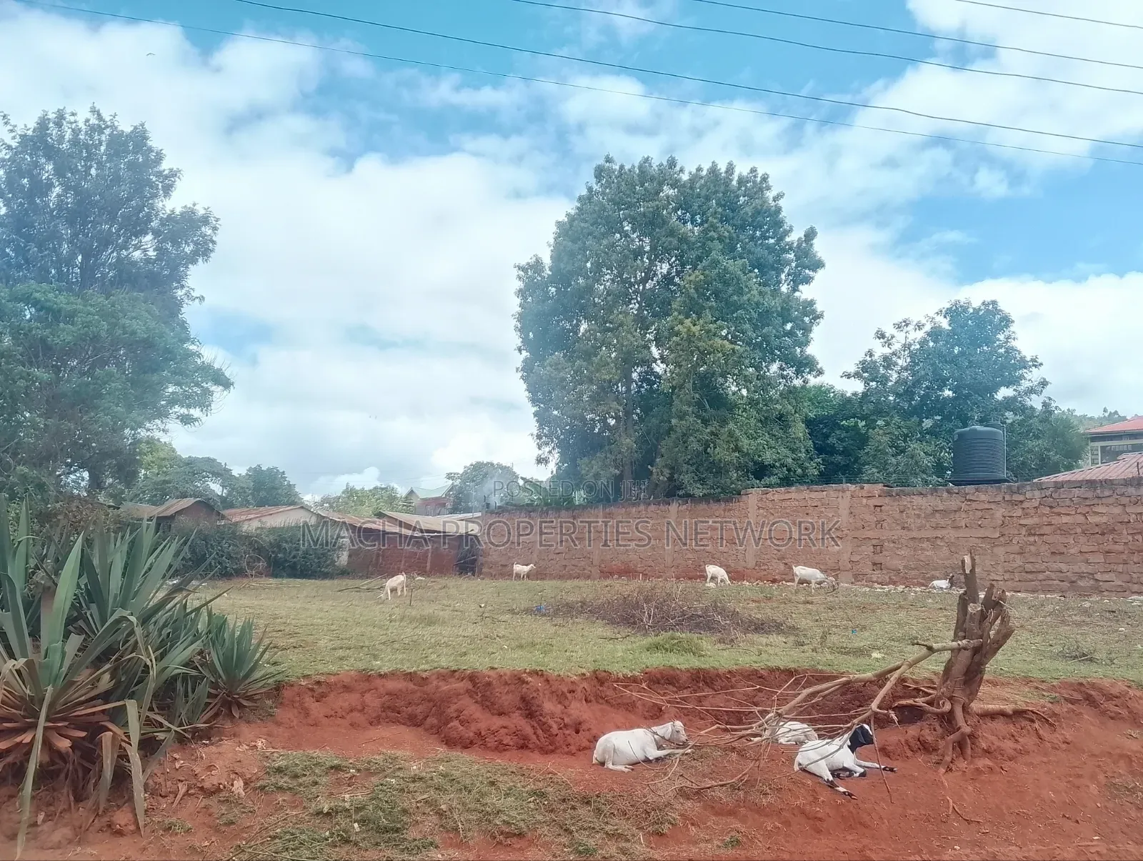 1/4 Plot Machakos Eastleigh Quick Sale 4.5M Per Plot. in Mumbuni
