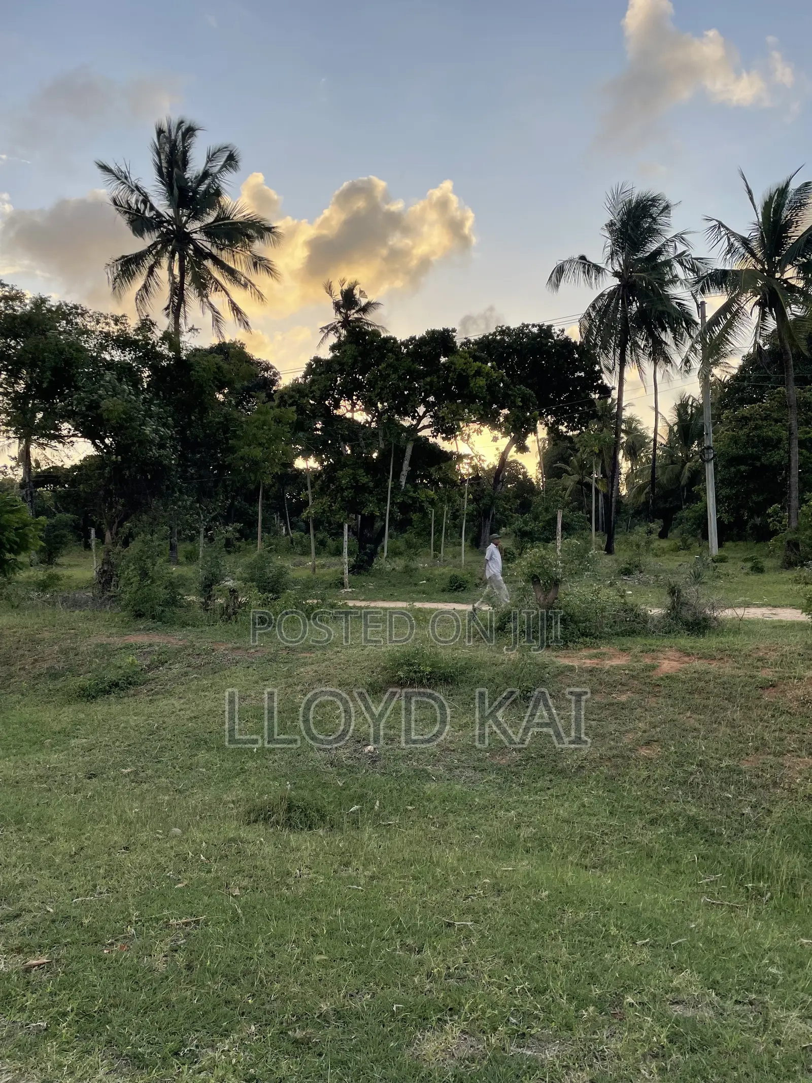 High-Yield Development Land in Tezo | Direct Highway Frontage in Kilifi North