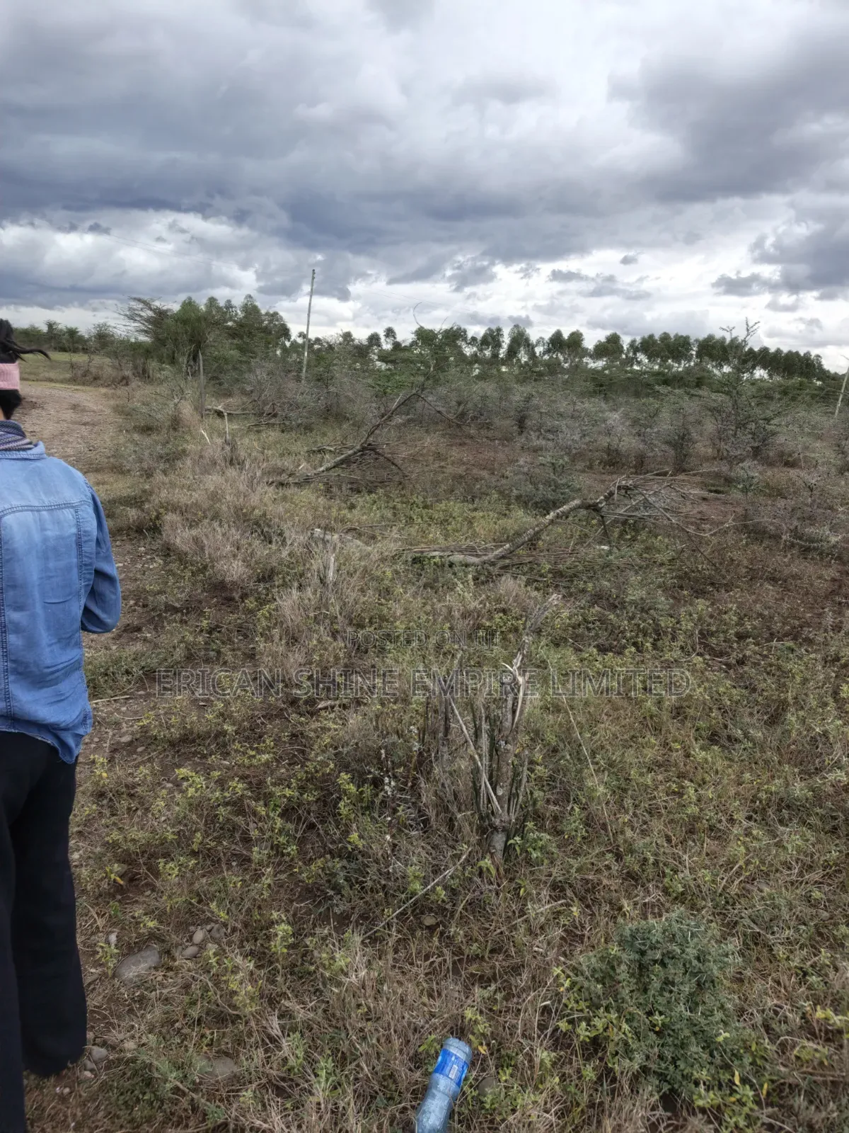 Land for Sale in Lolldaiga- Nanyuki in Nanyuki
