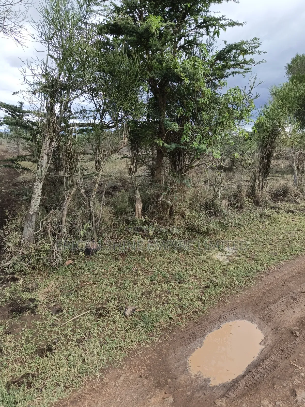 Land for Sale in Lolldaiga- Nanyuki in Nanyuki