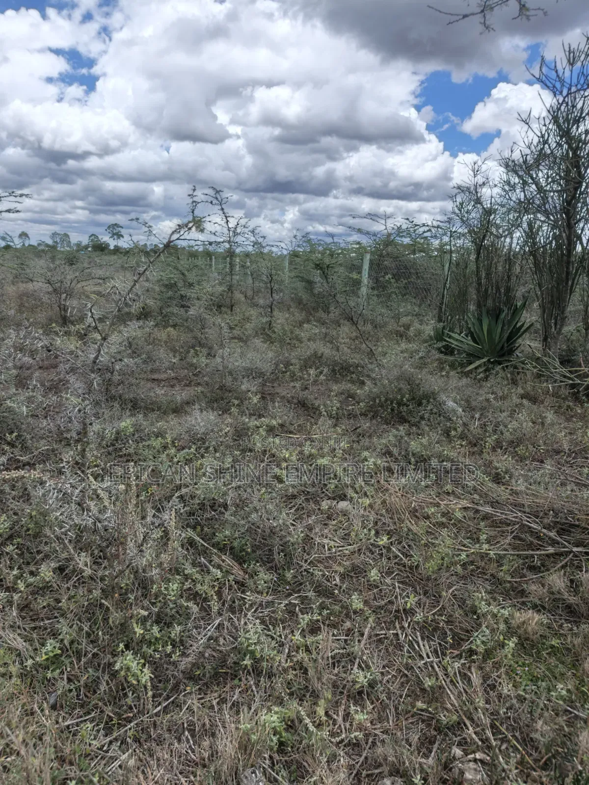 Land for Sale in Lolldaiga- Nanyuki in Nanyuki