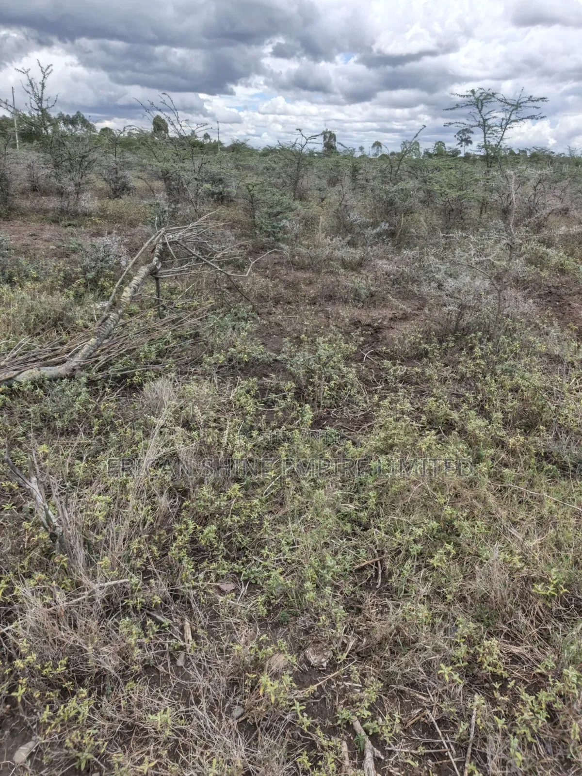 Land for Sale in Lolldaiga- Nanyuki in Nanyuki