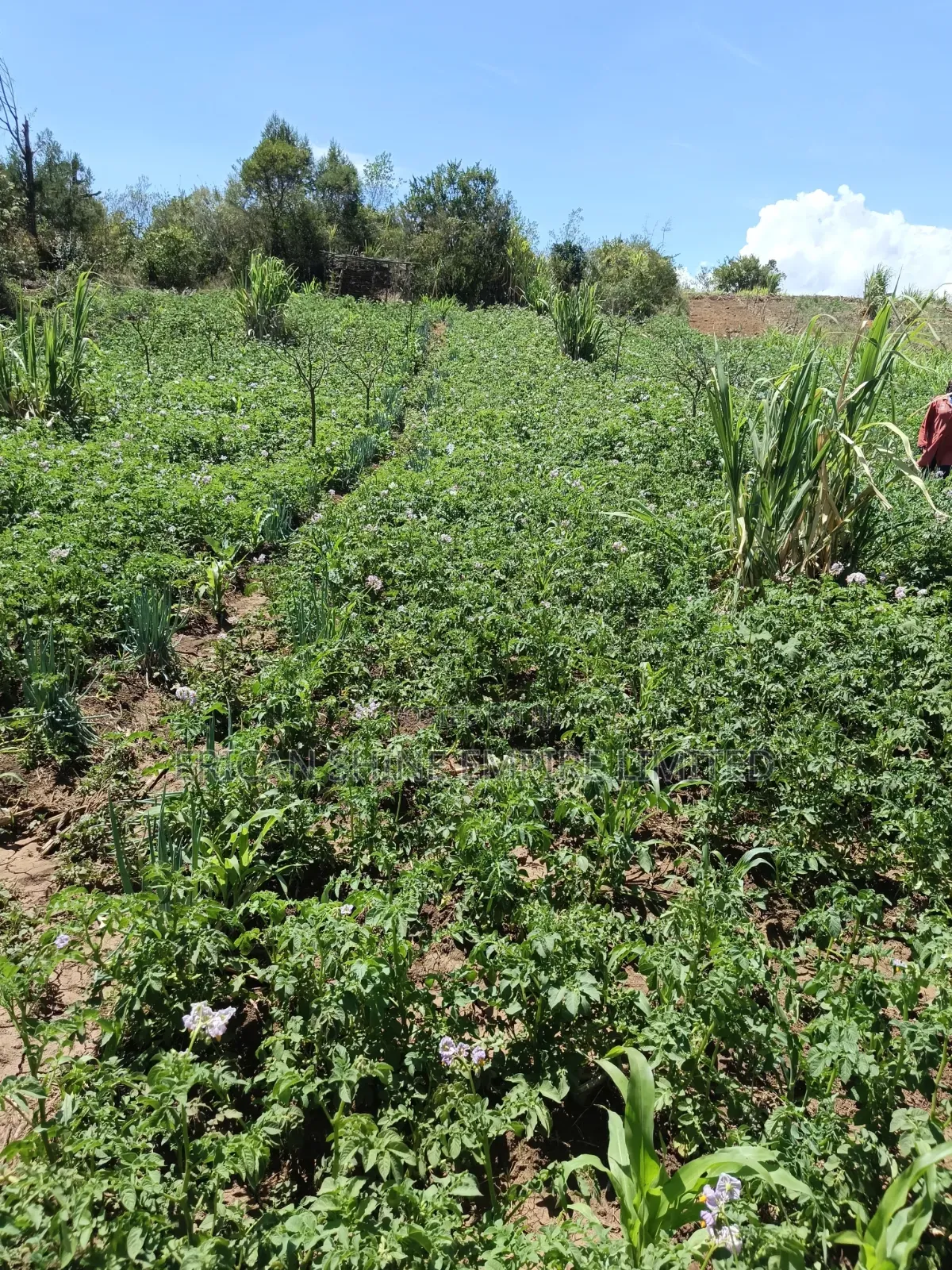 Ndaragwa 16 Acres for Sale in Central Ndaragwa