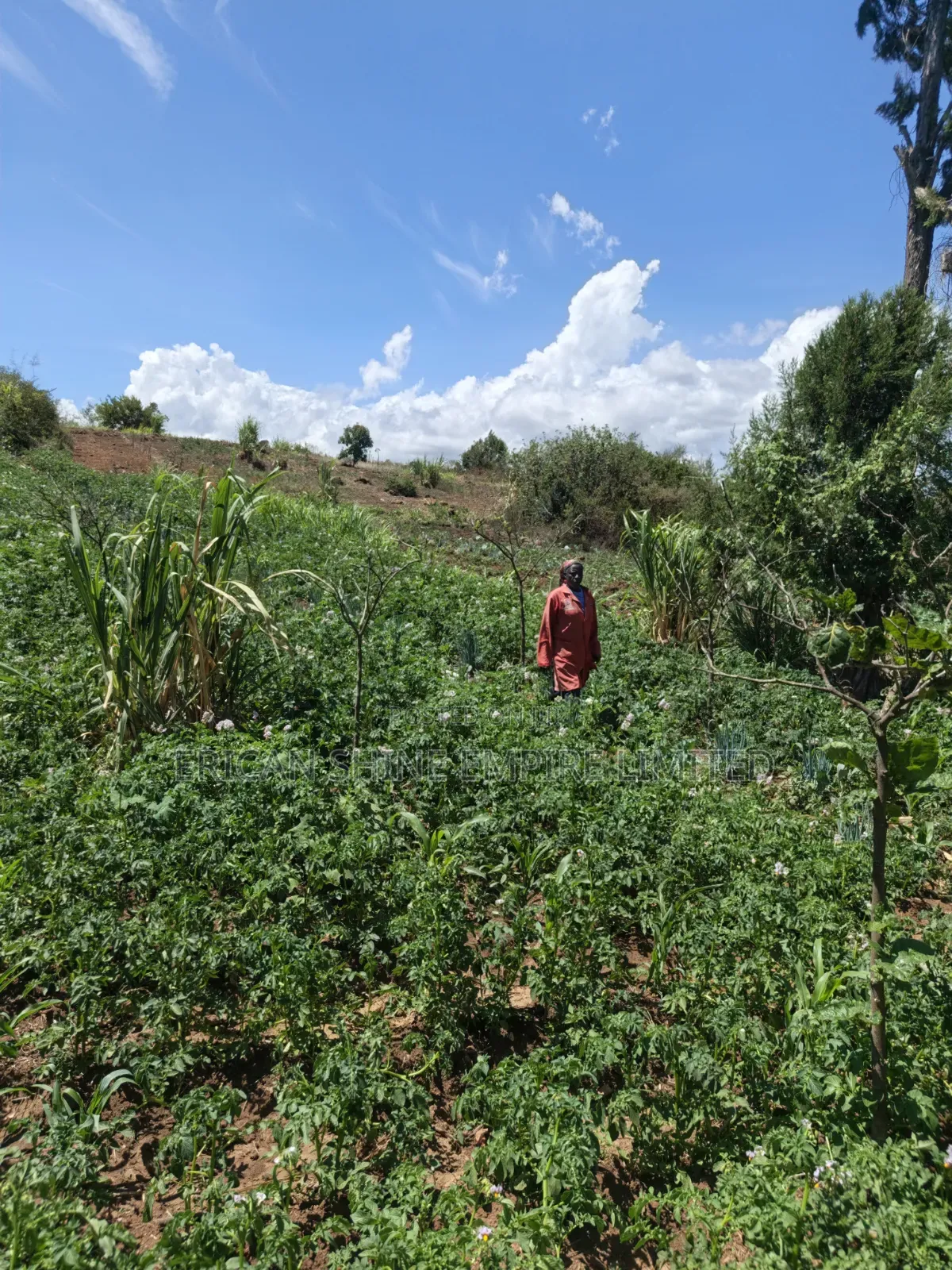Ndaragwa 16 Acres for Sale in Central Ndaragwa