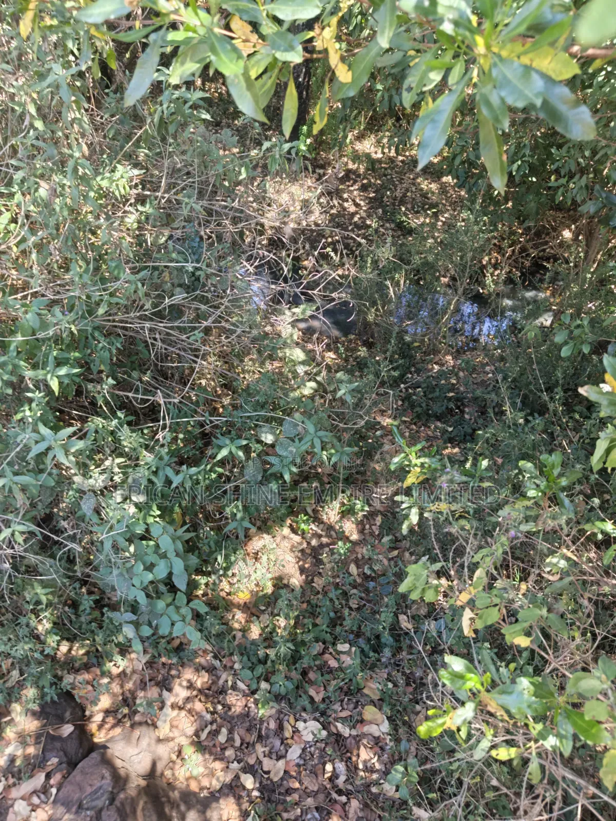 Ndaragwa 16 Acres for Sale in Central Ndaragwa