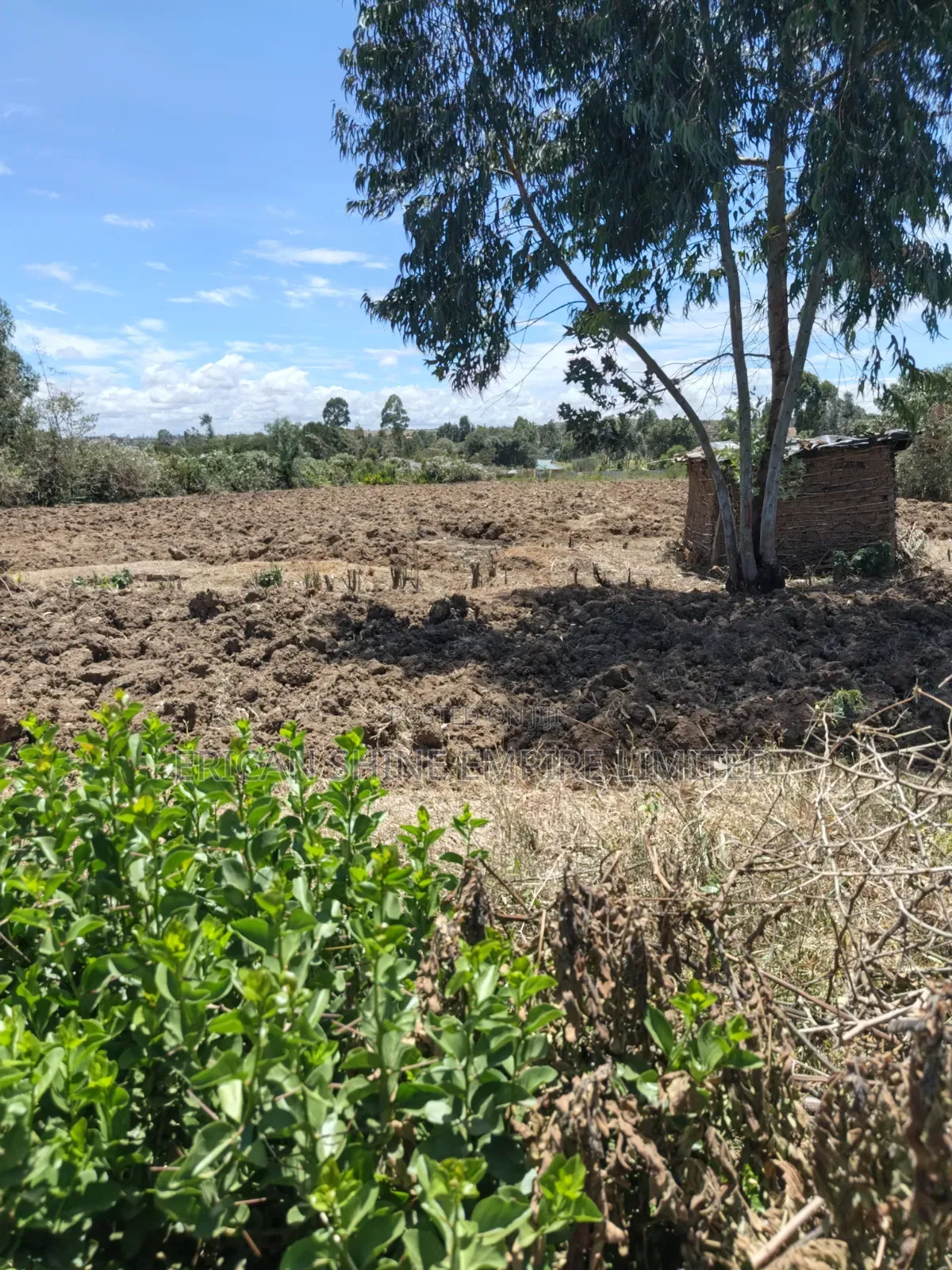 Ndaragwa Uruku 2acres for Sale in Central Ndaragwa