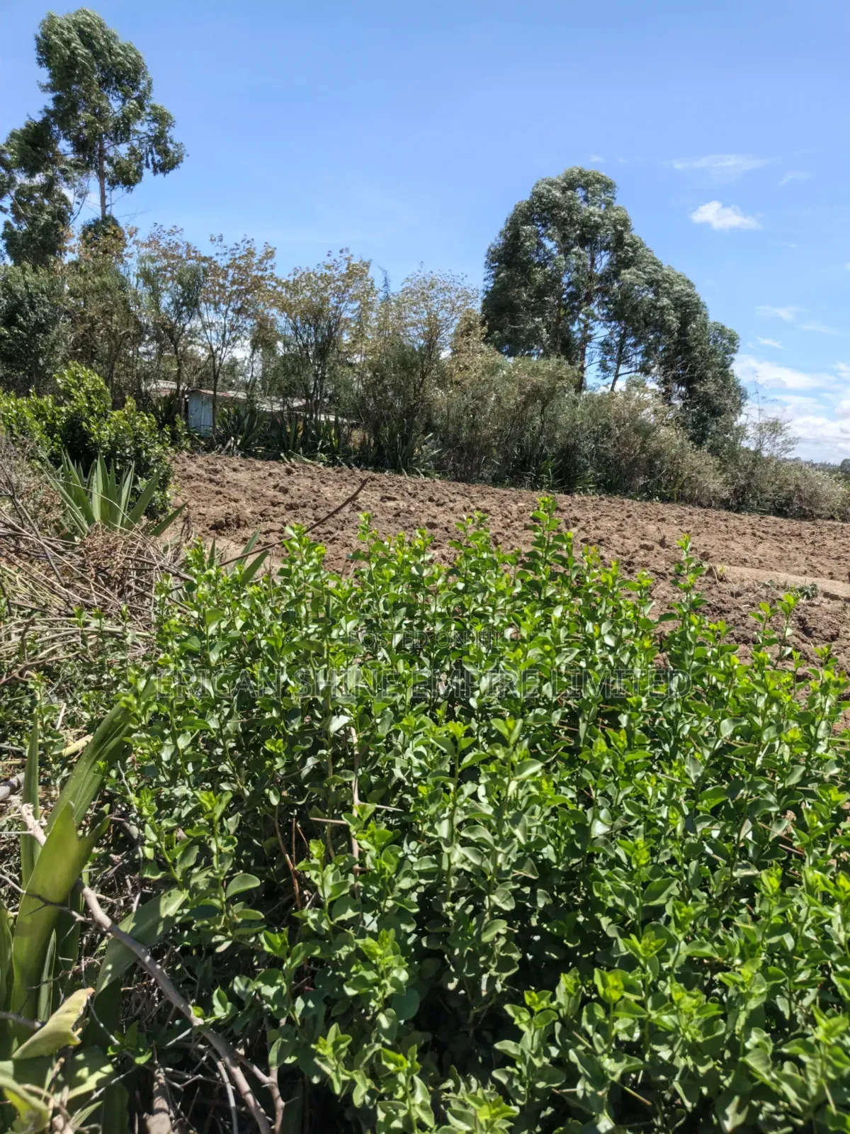 Ndaragwa Uruku 2acres for Sale in Central Ndaragwa