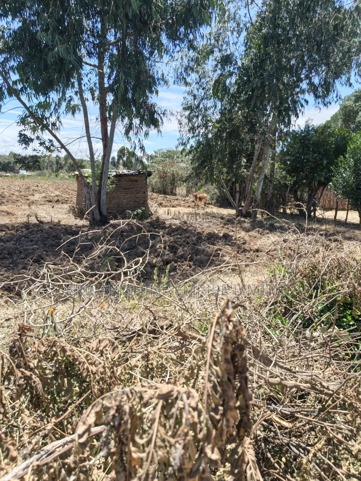 Ndaragwa Uruku 2acres for Sale in Central Ndaragwa
